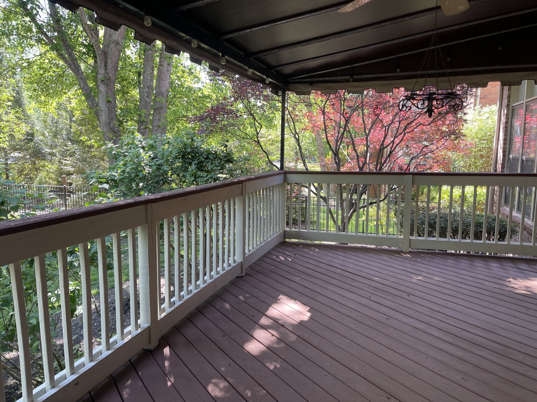 903 Grapevine Ln