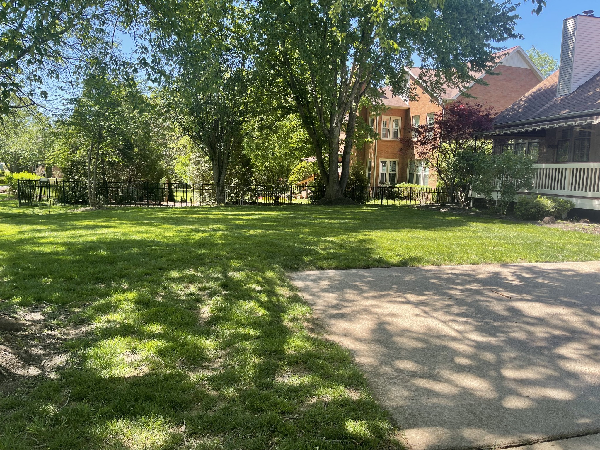 903 Grapevine Ln