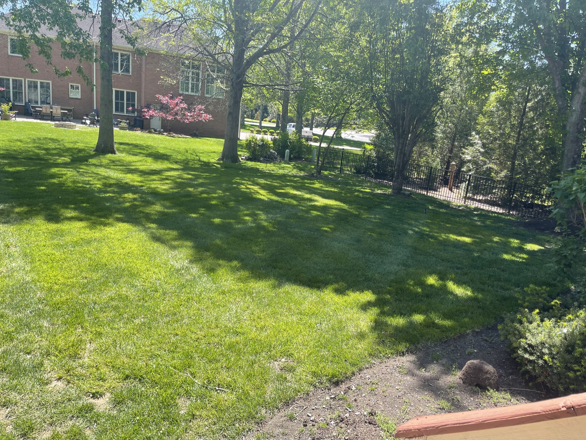 903 Grapevine Ln