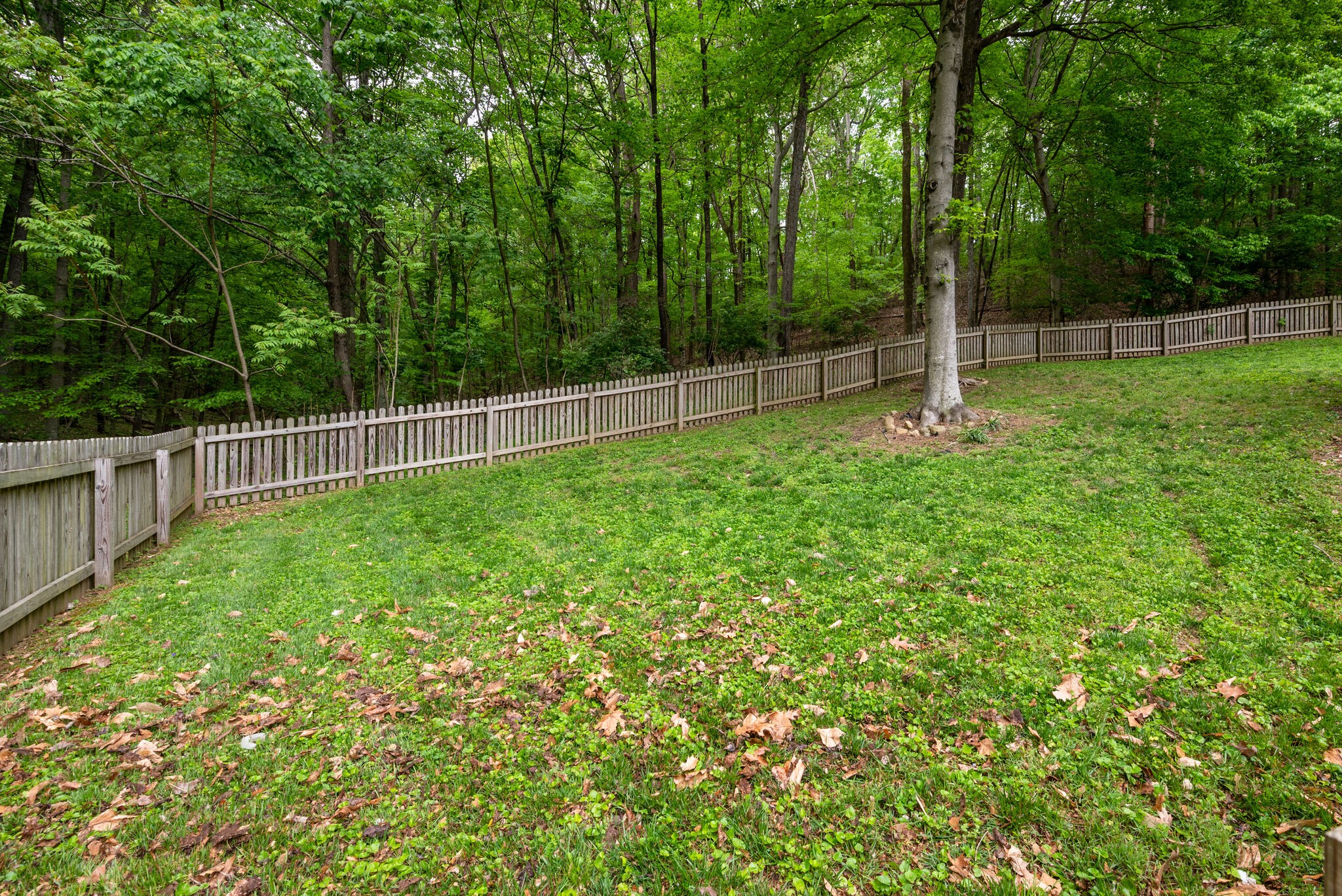 2956 Glenway Dr