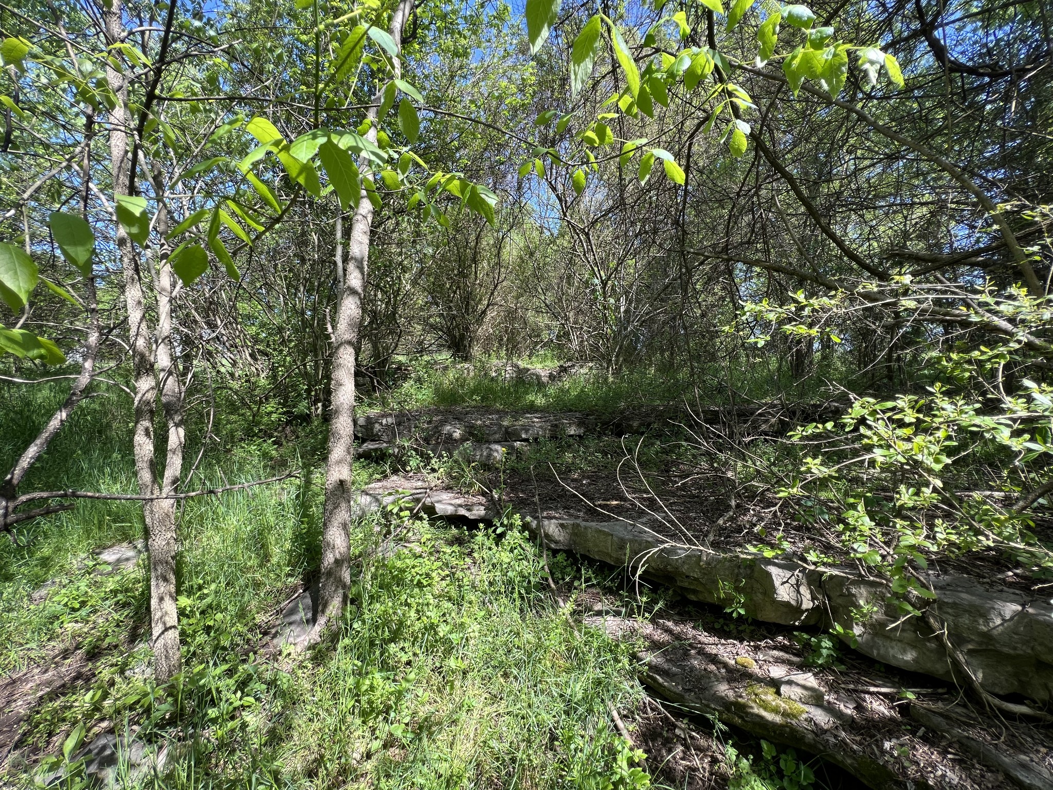 2433 Hwy 231, S