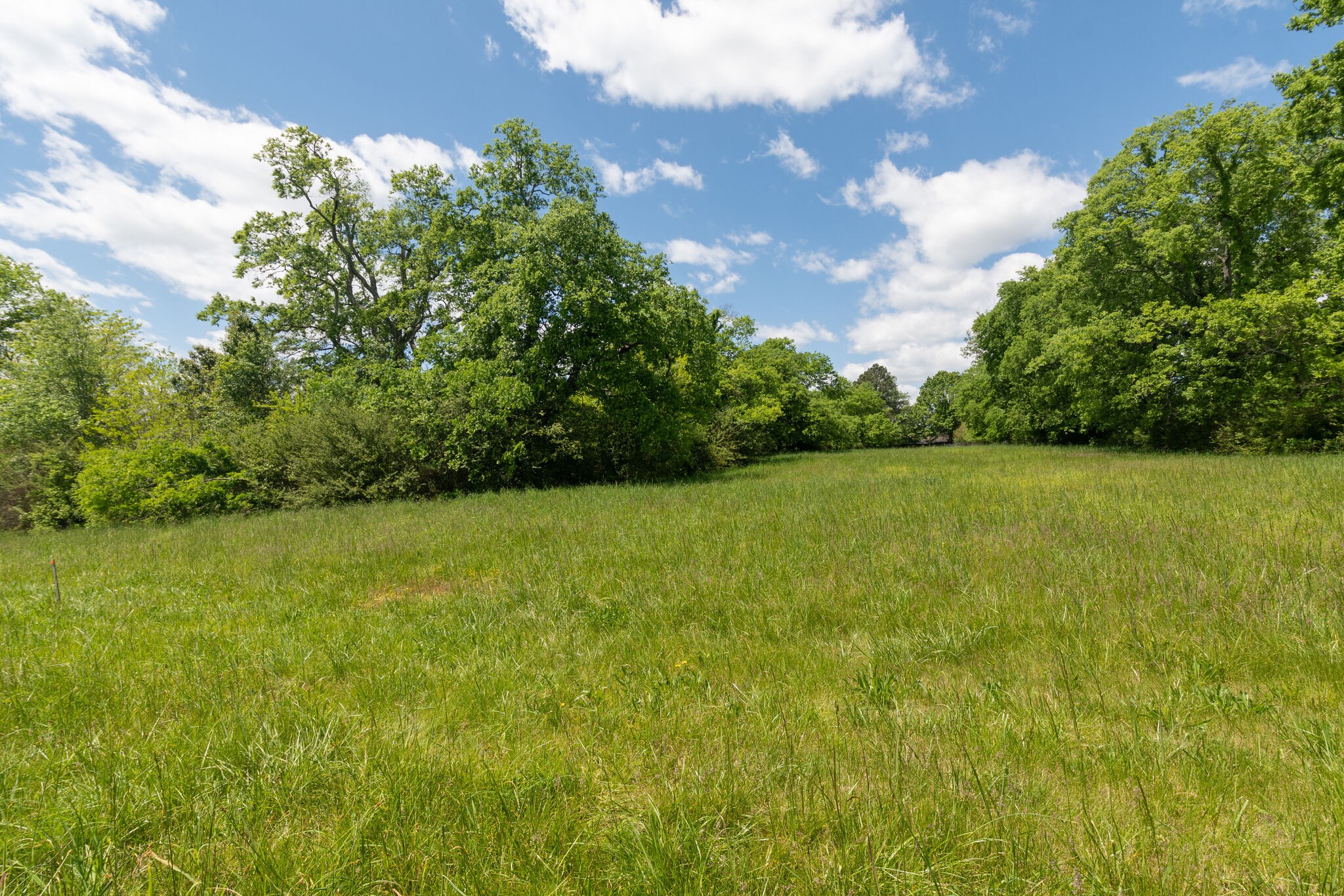 2433 Hwy 231, S