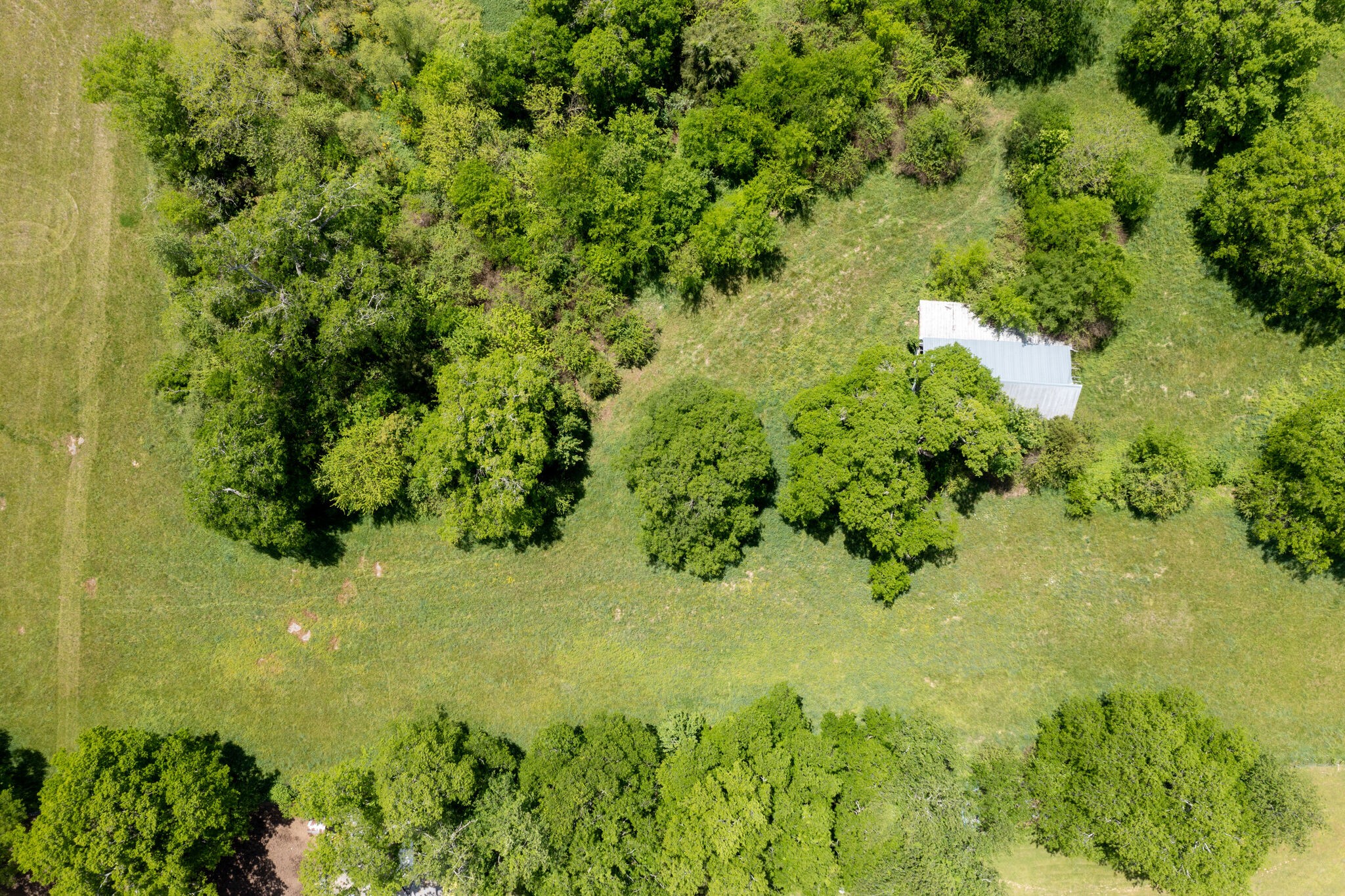 2433 Hwy 231, S