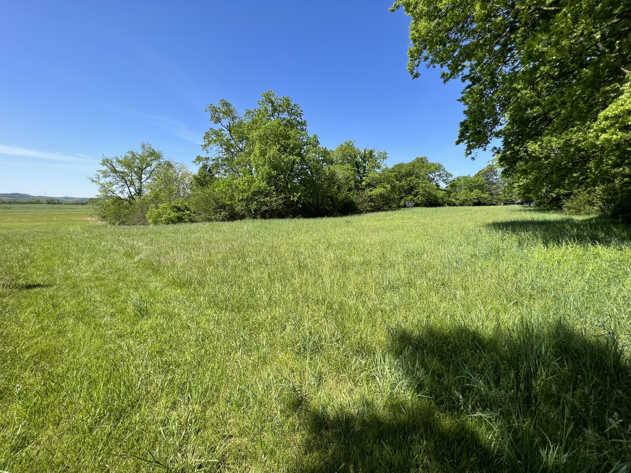 2433 Hwy 231, S