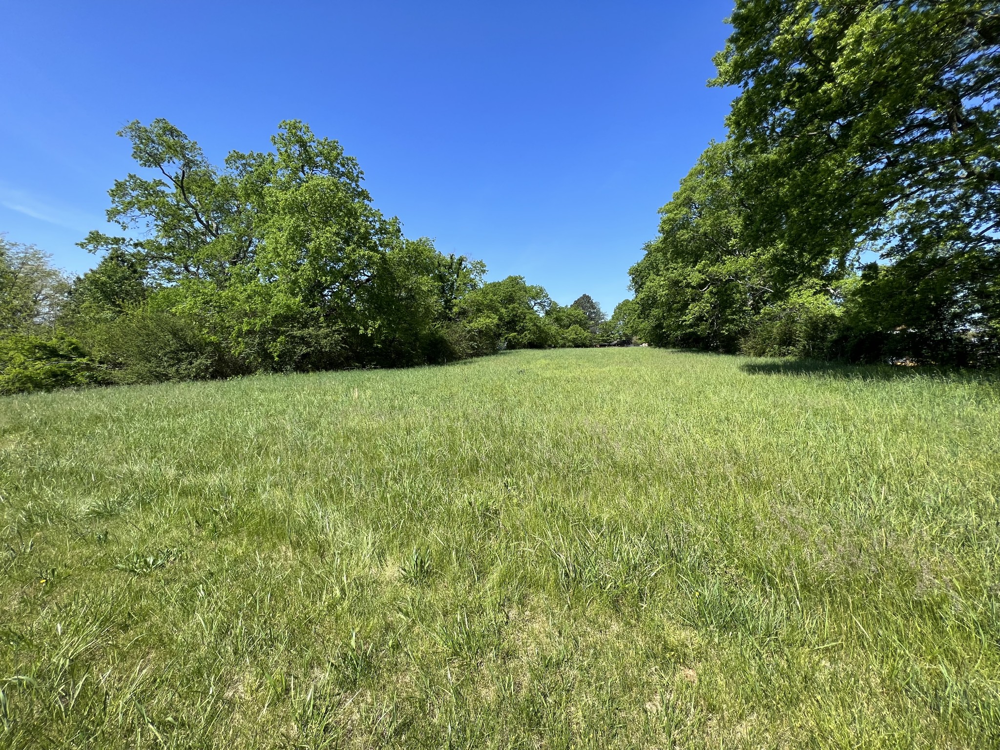 2433 Hwy 231, S