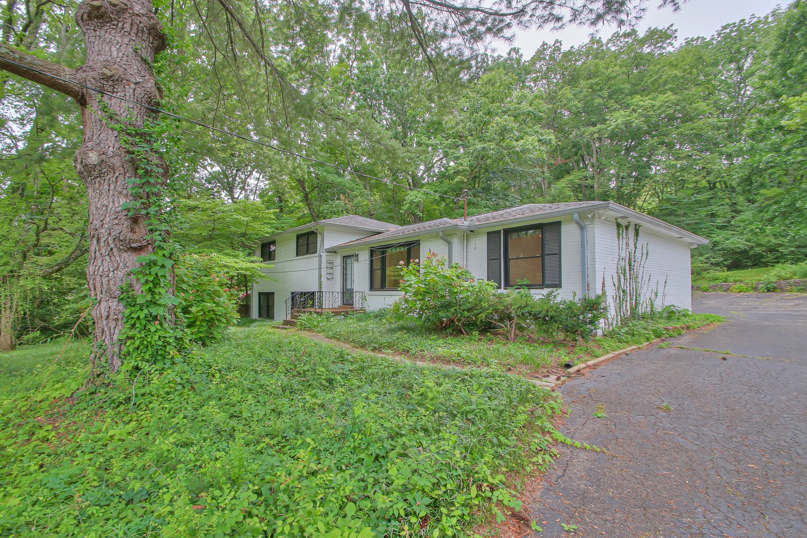 931 Downey Dr