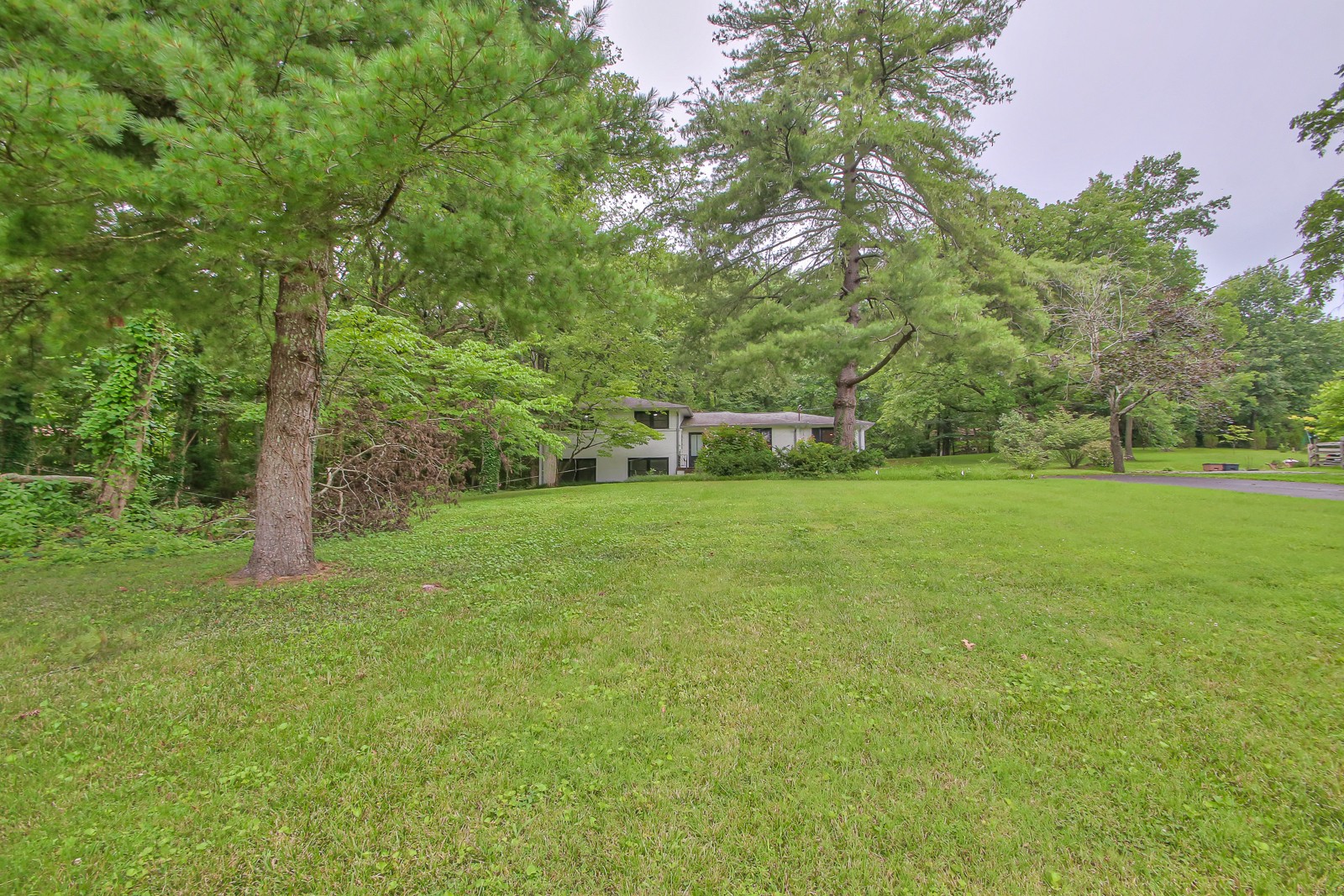 931 Downey Dr