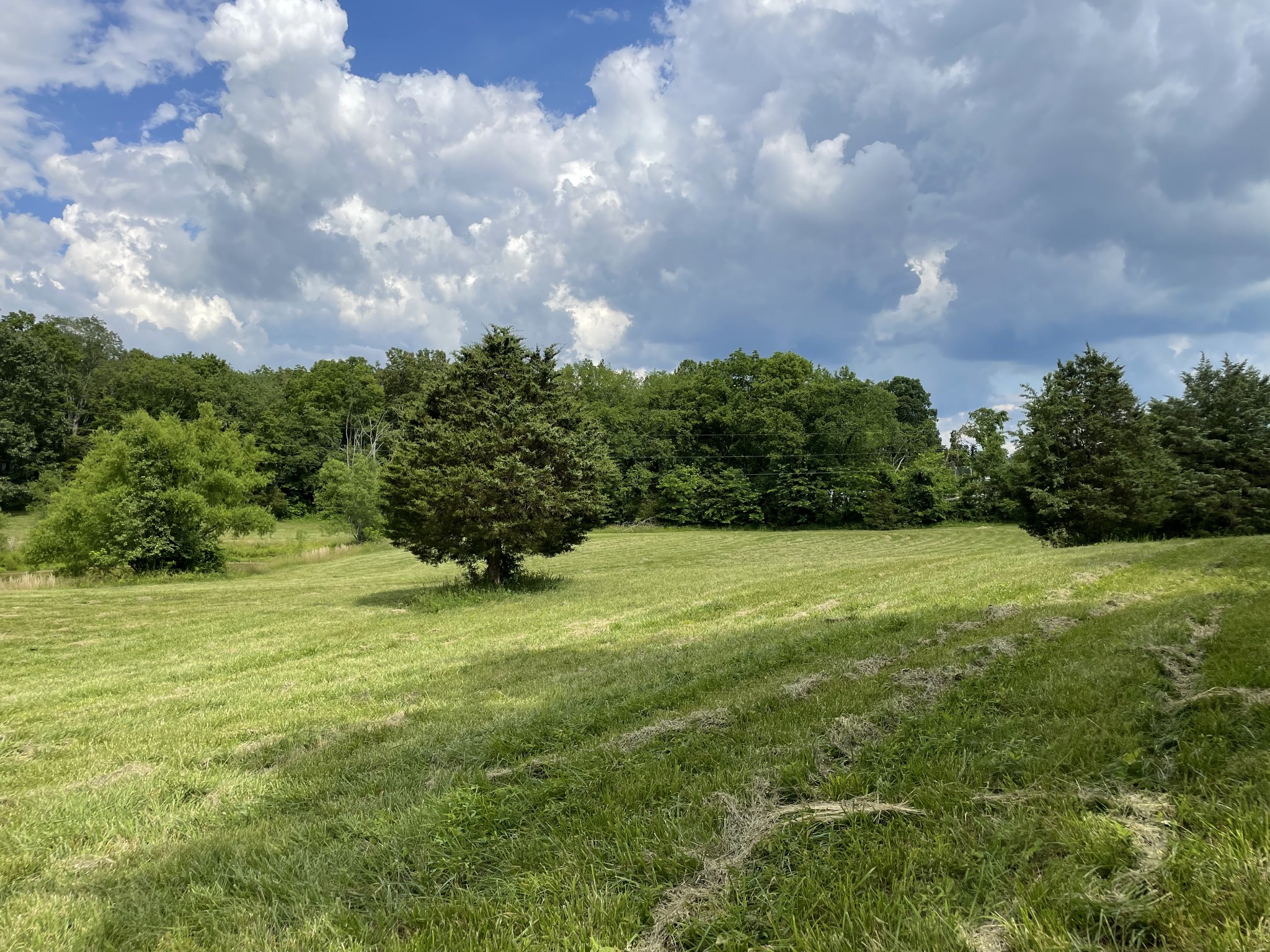 2810 James Winters Rd