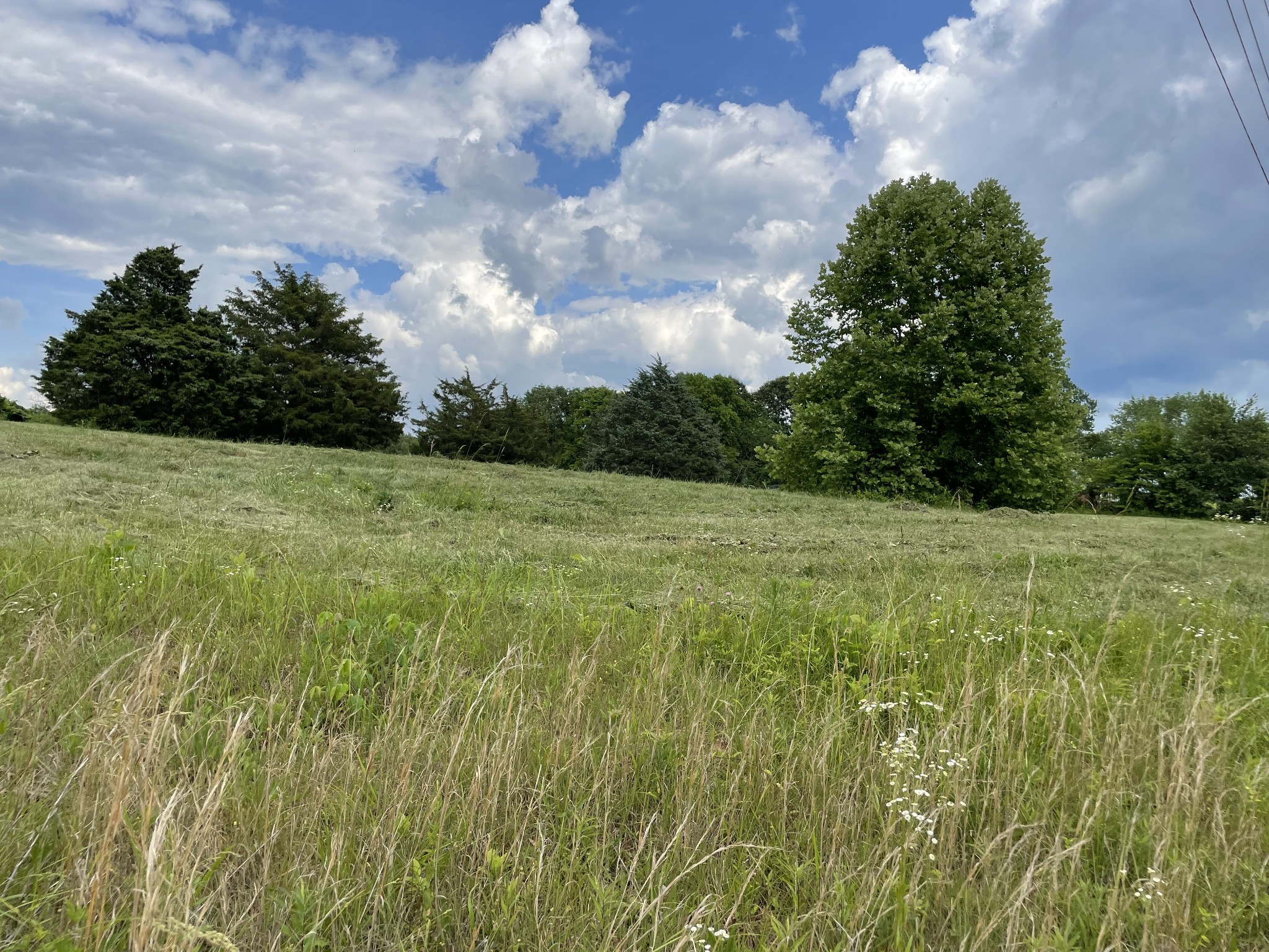 2810 James Winters Rd