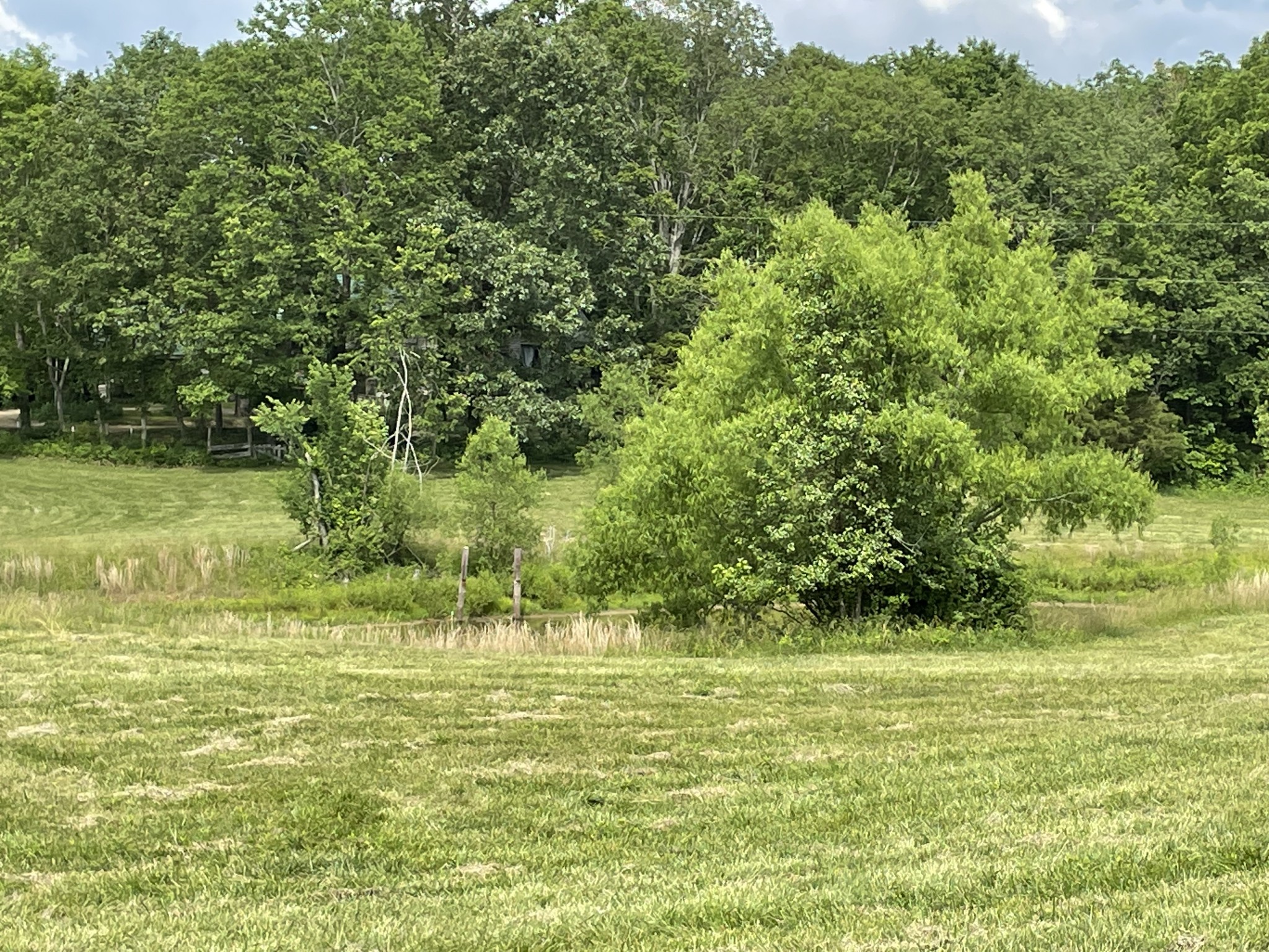 2810 James Winters Rd