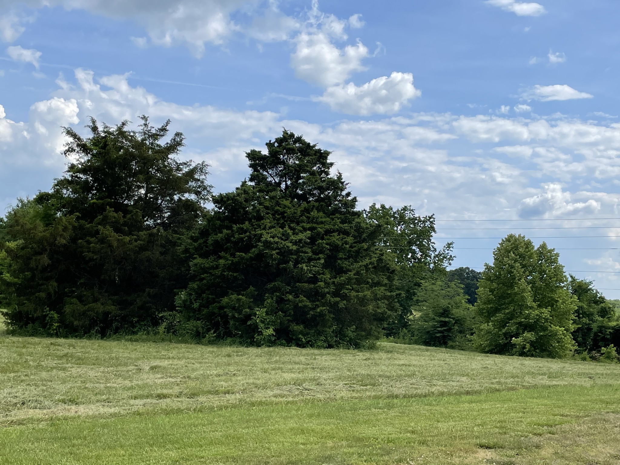 2810 James Winters Rd