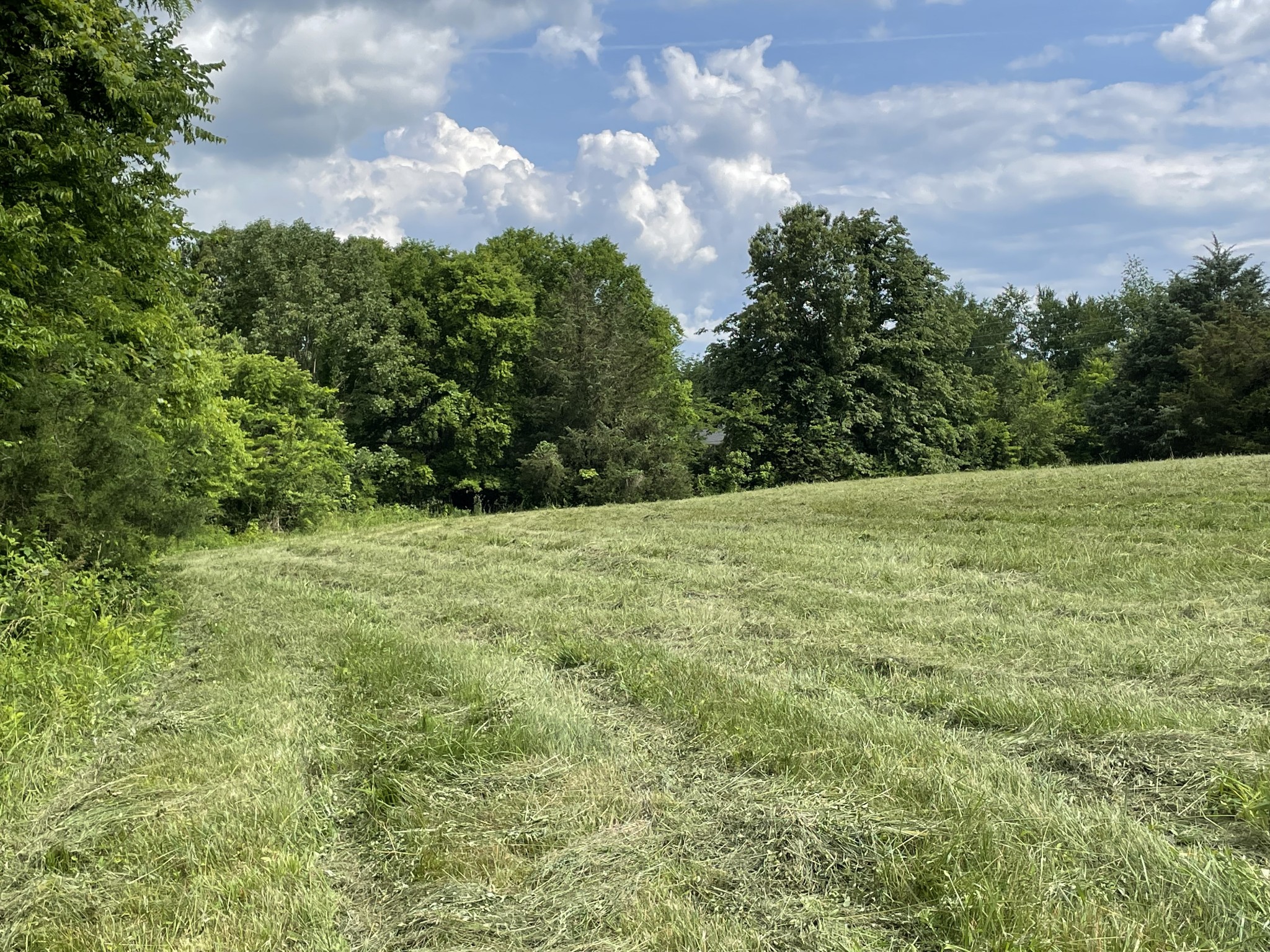 2810 James Winters Rd