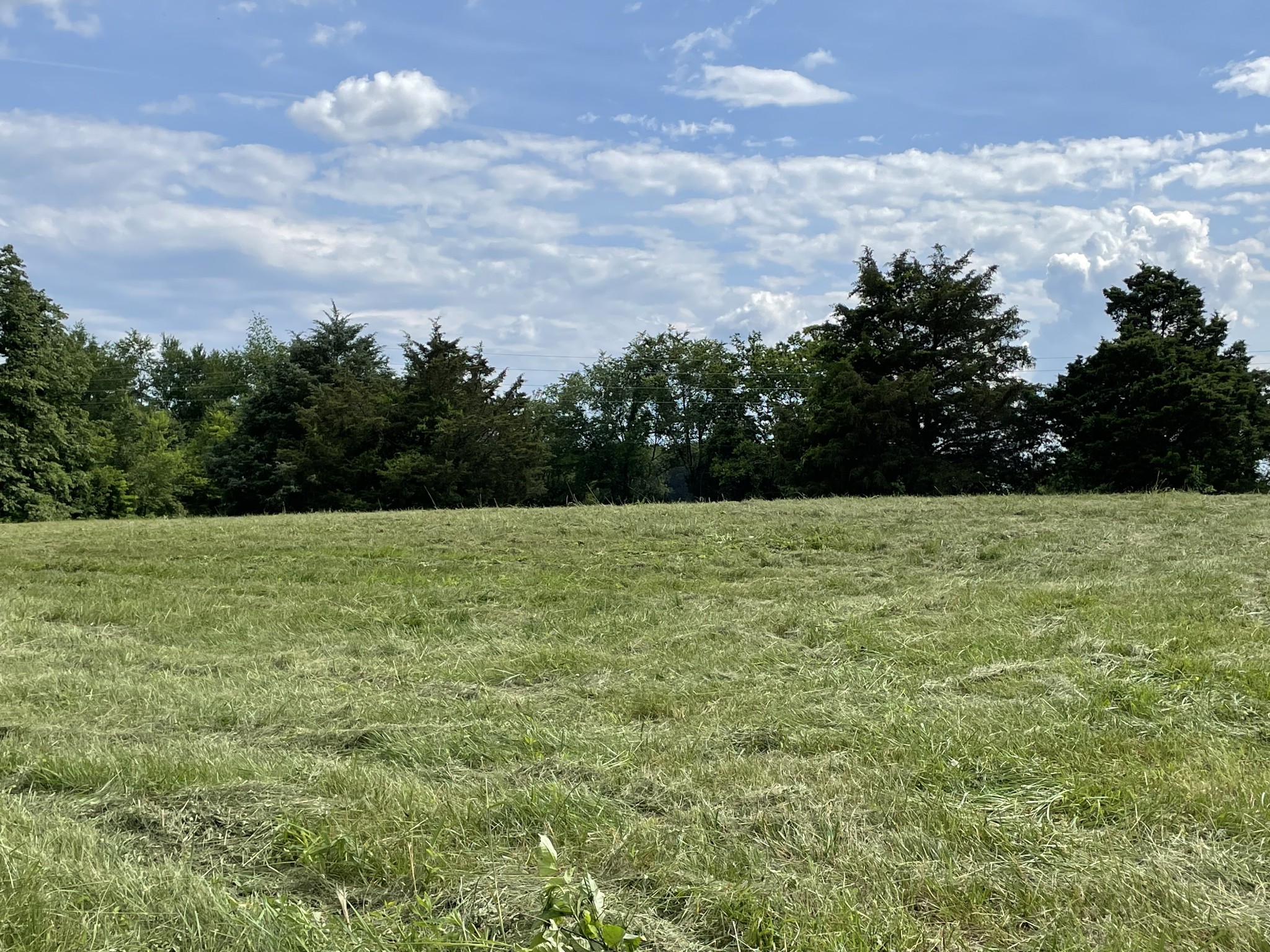 2810 James Winters Rd