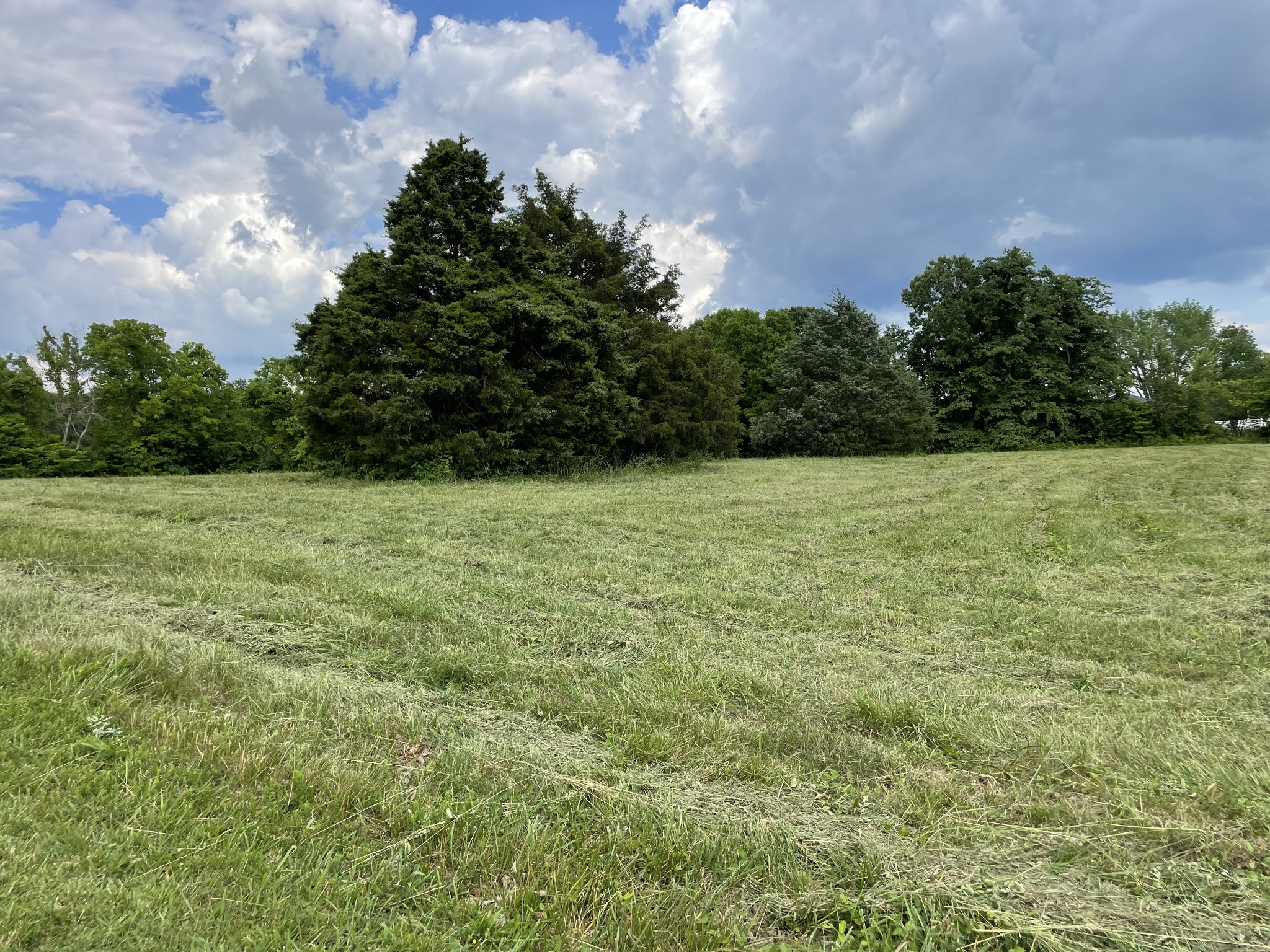 2810 James Winters Rd