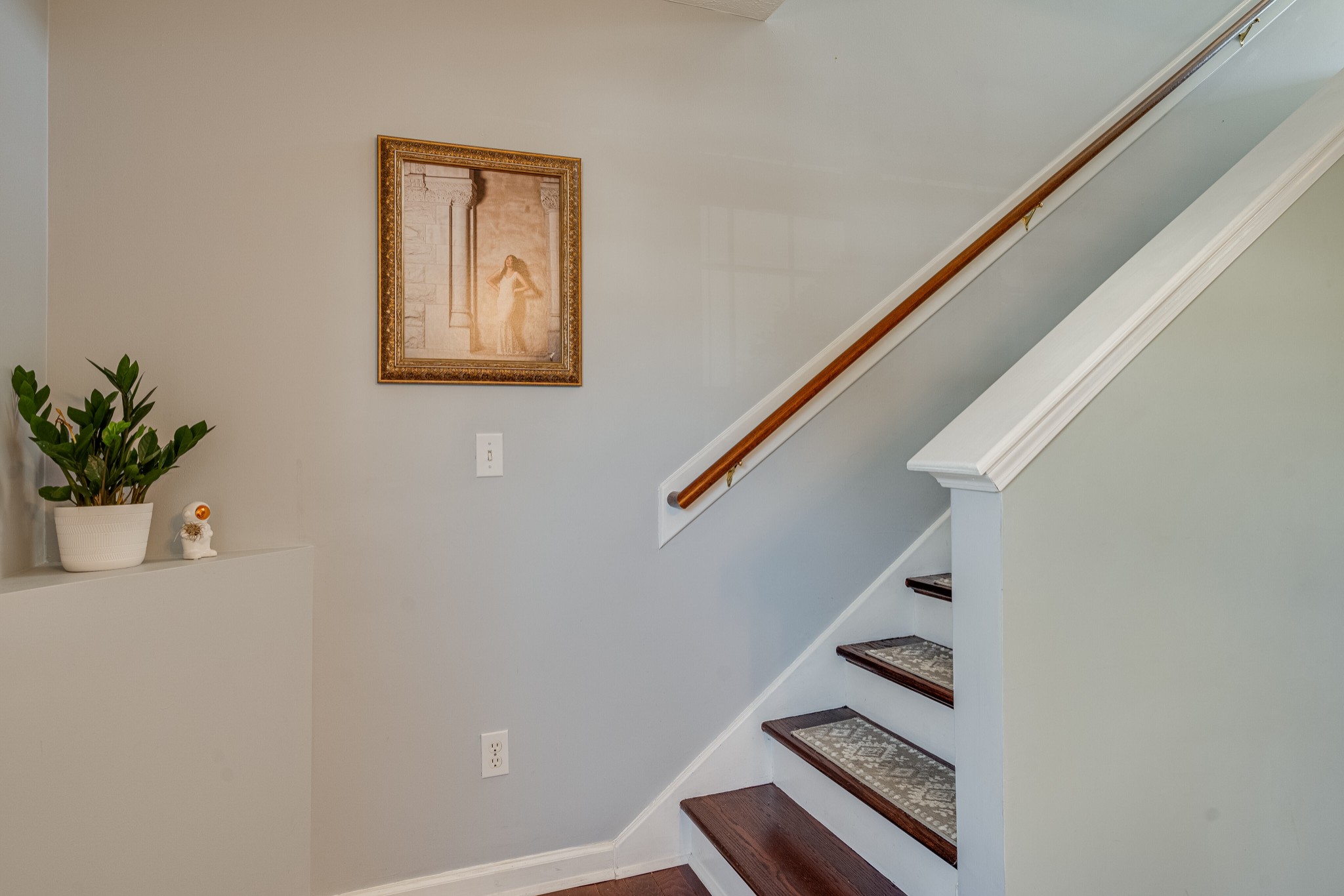 3059 Harpeth Springs Dr
