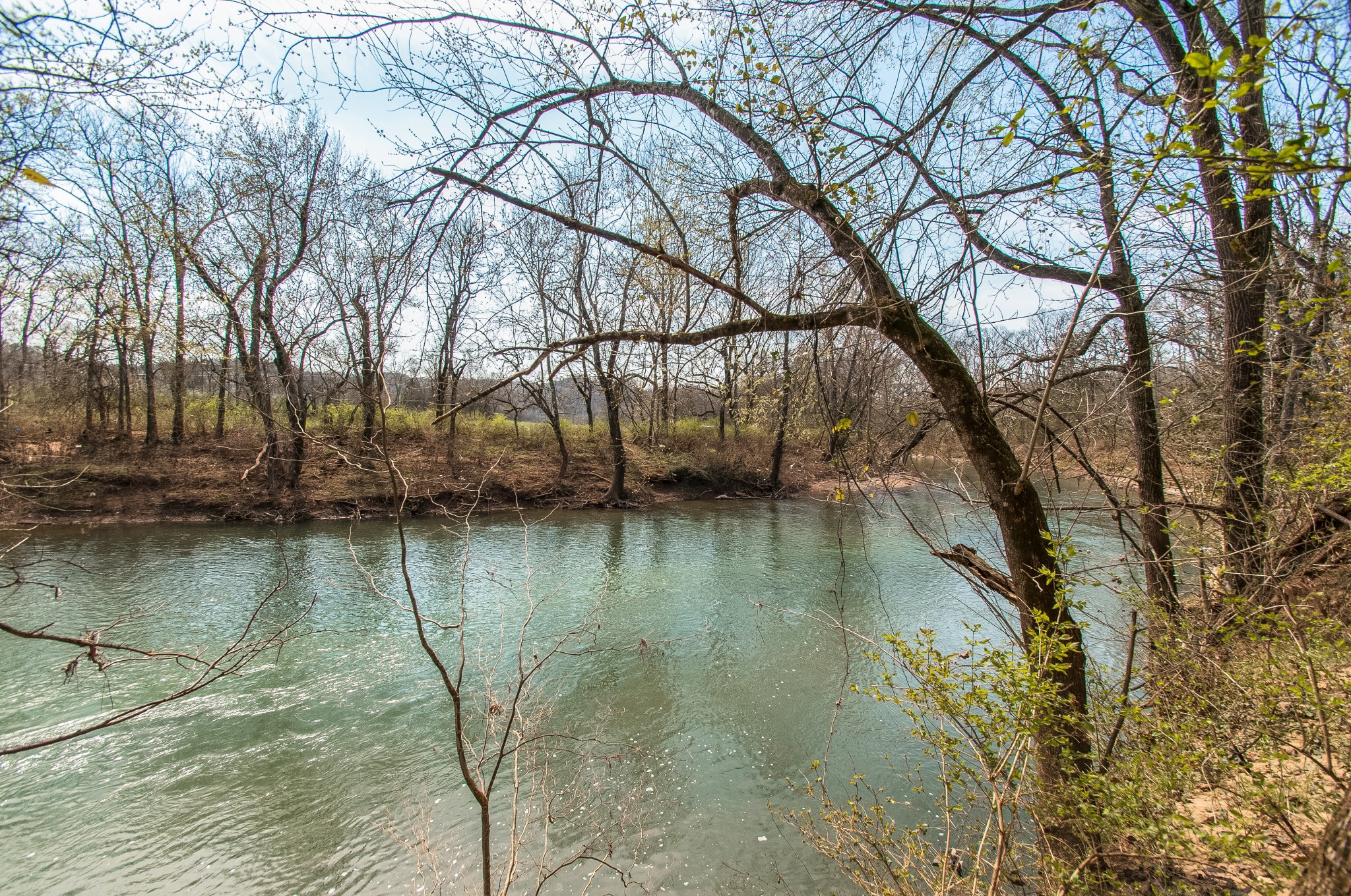 3059 Harpeth Springs Dr