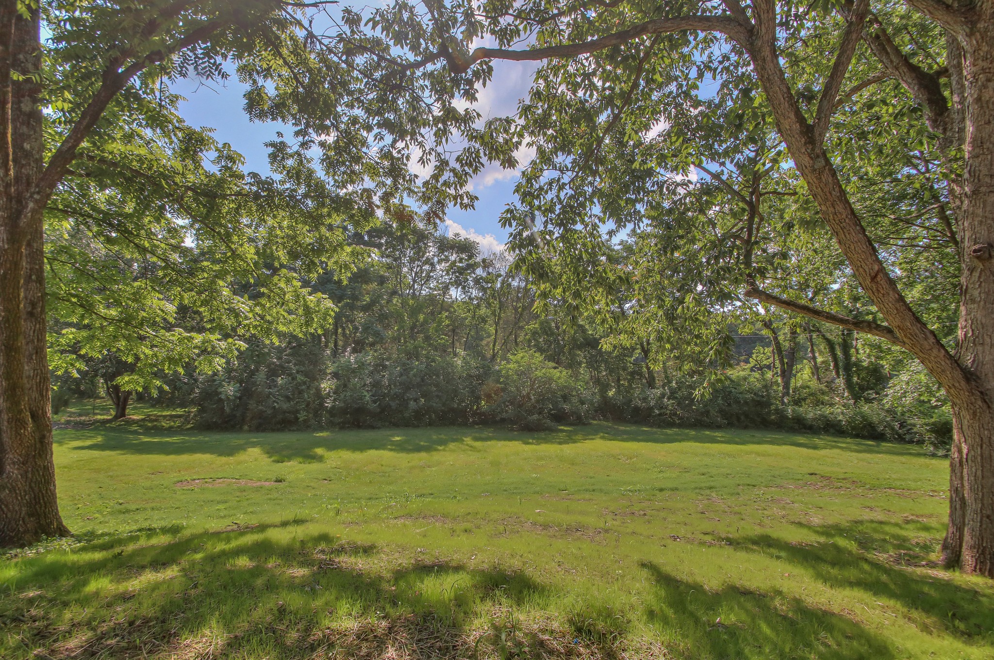 955 Windrowe Dr