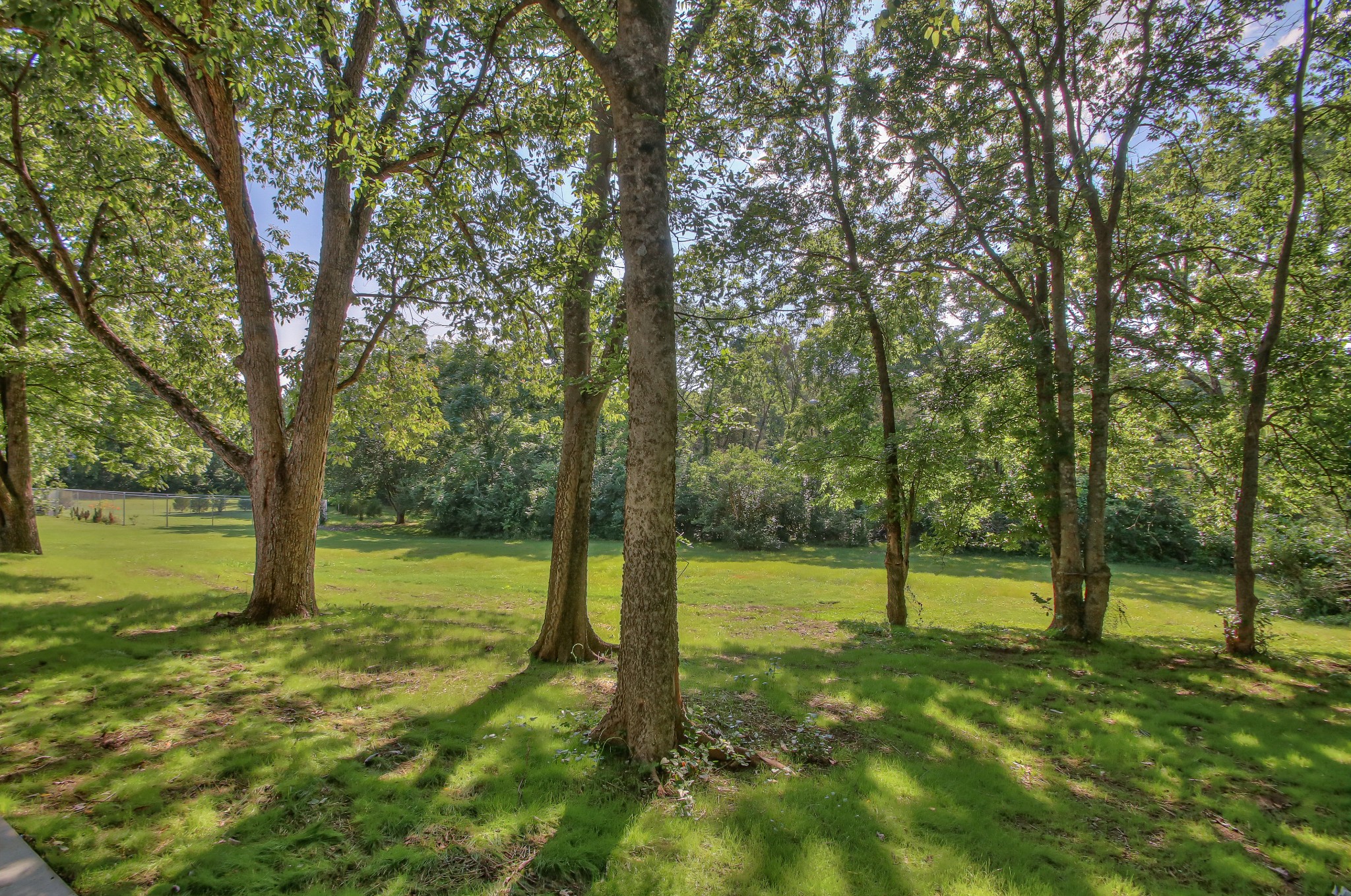 955 Windrowe Dr