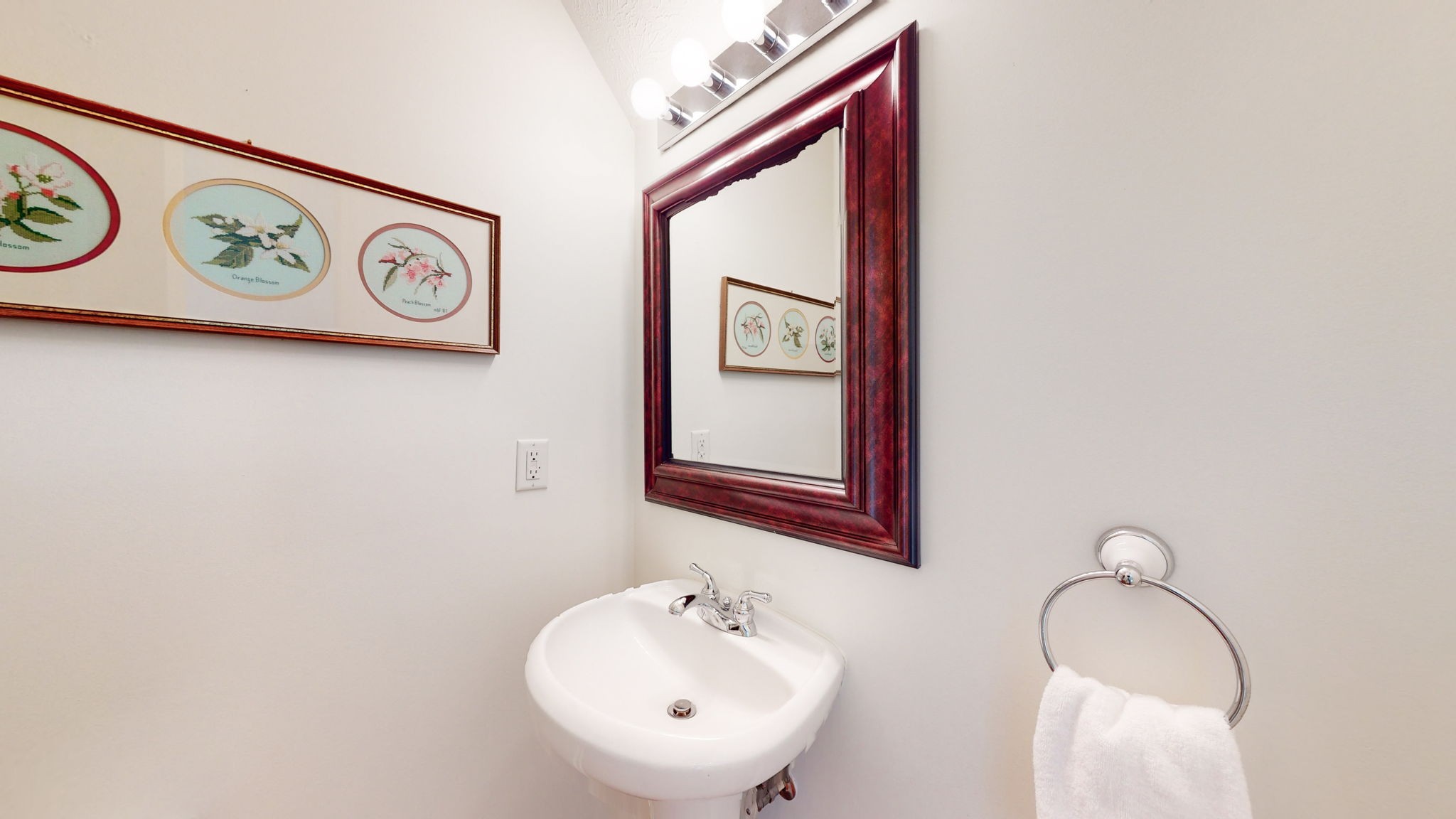 3277 Harpeth Springs Dr