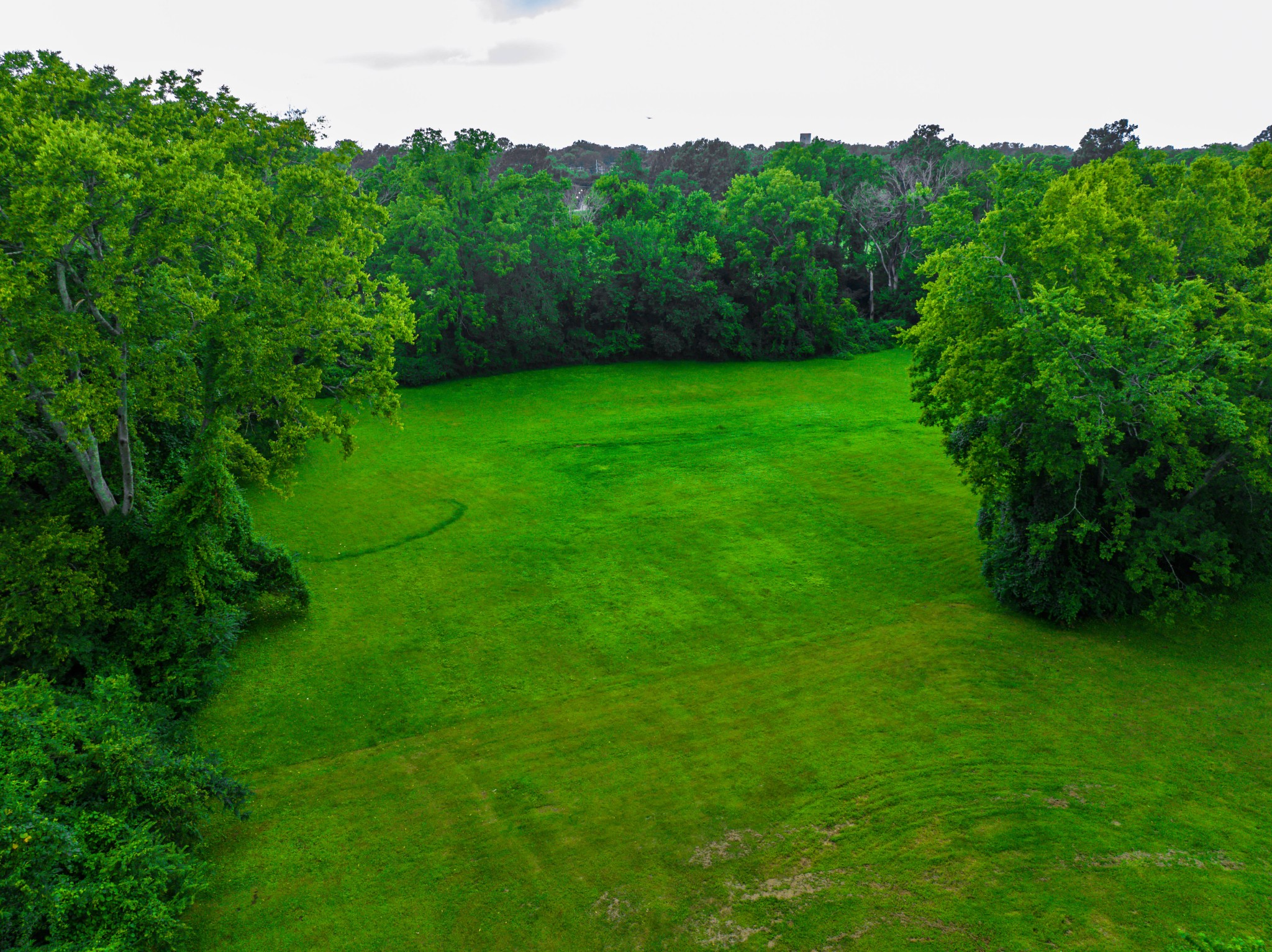 426 Eddy Ln