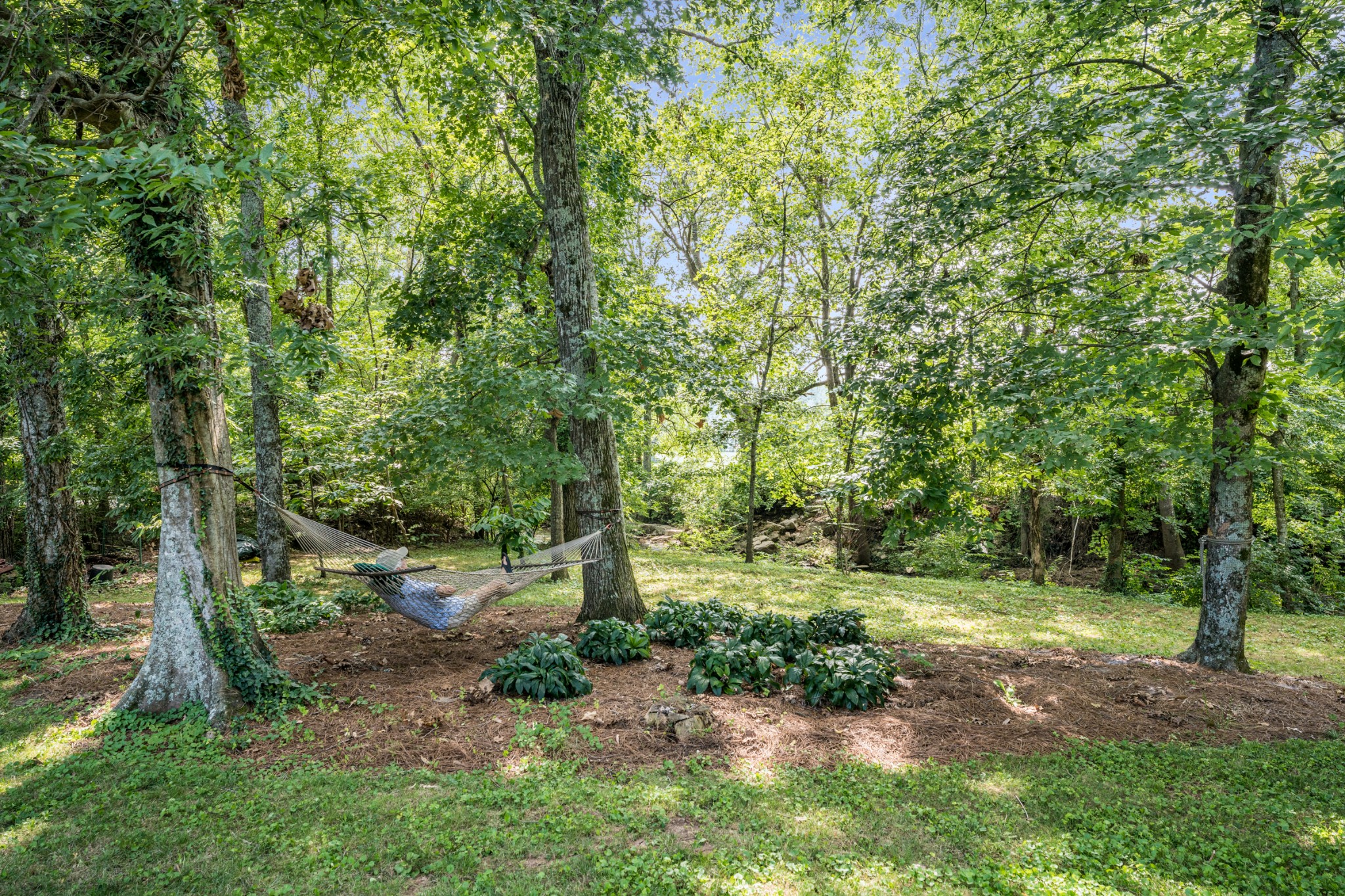 307 River Oaks Rd