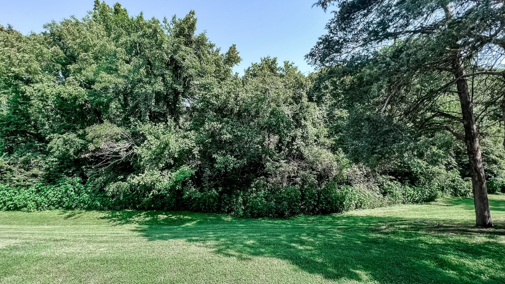 449 Hickory Glade Dr