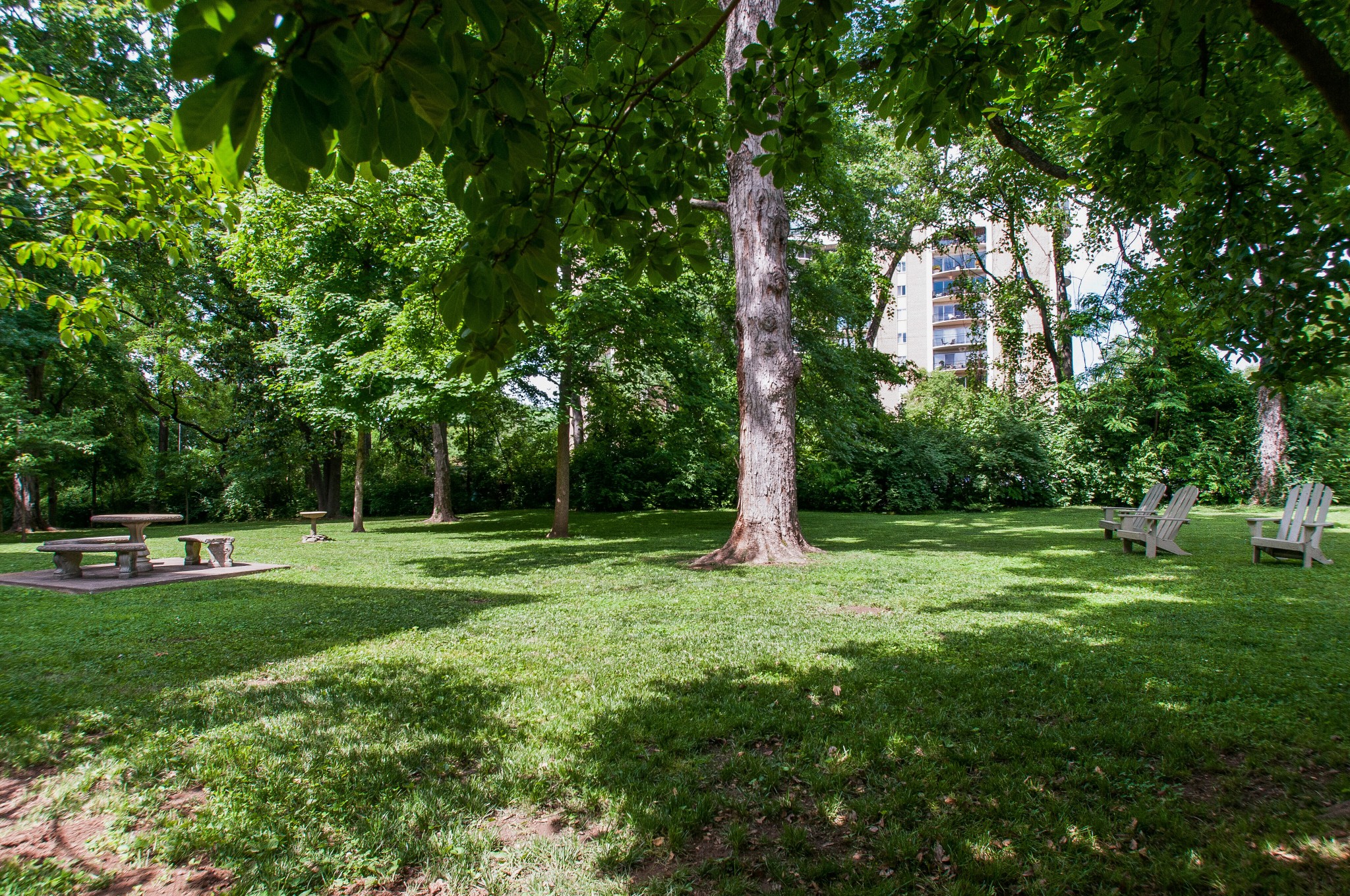 4225 Harding Pike Unit: 103