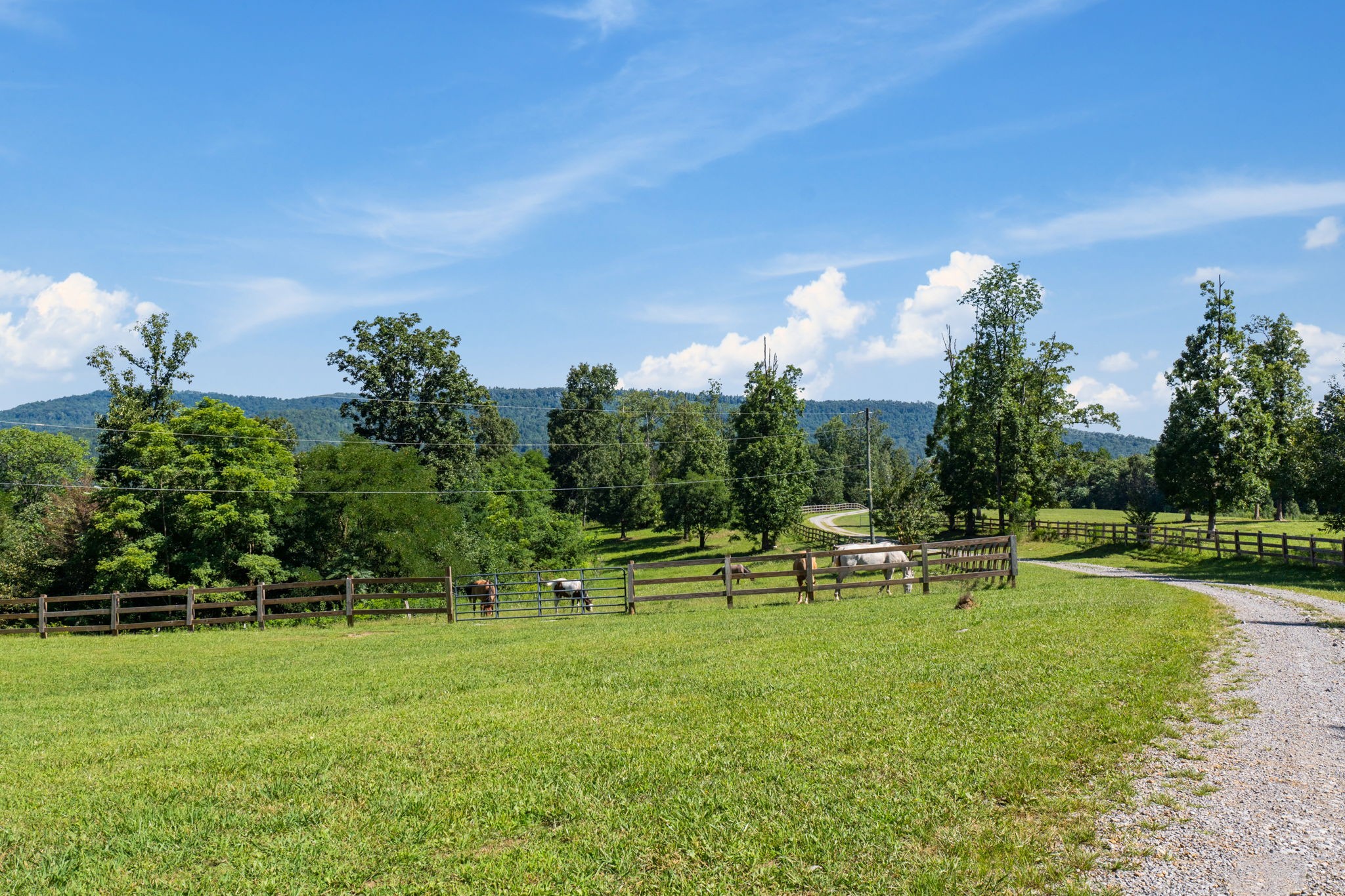 646 Bradford Ridge Rd