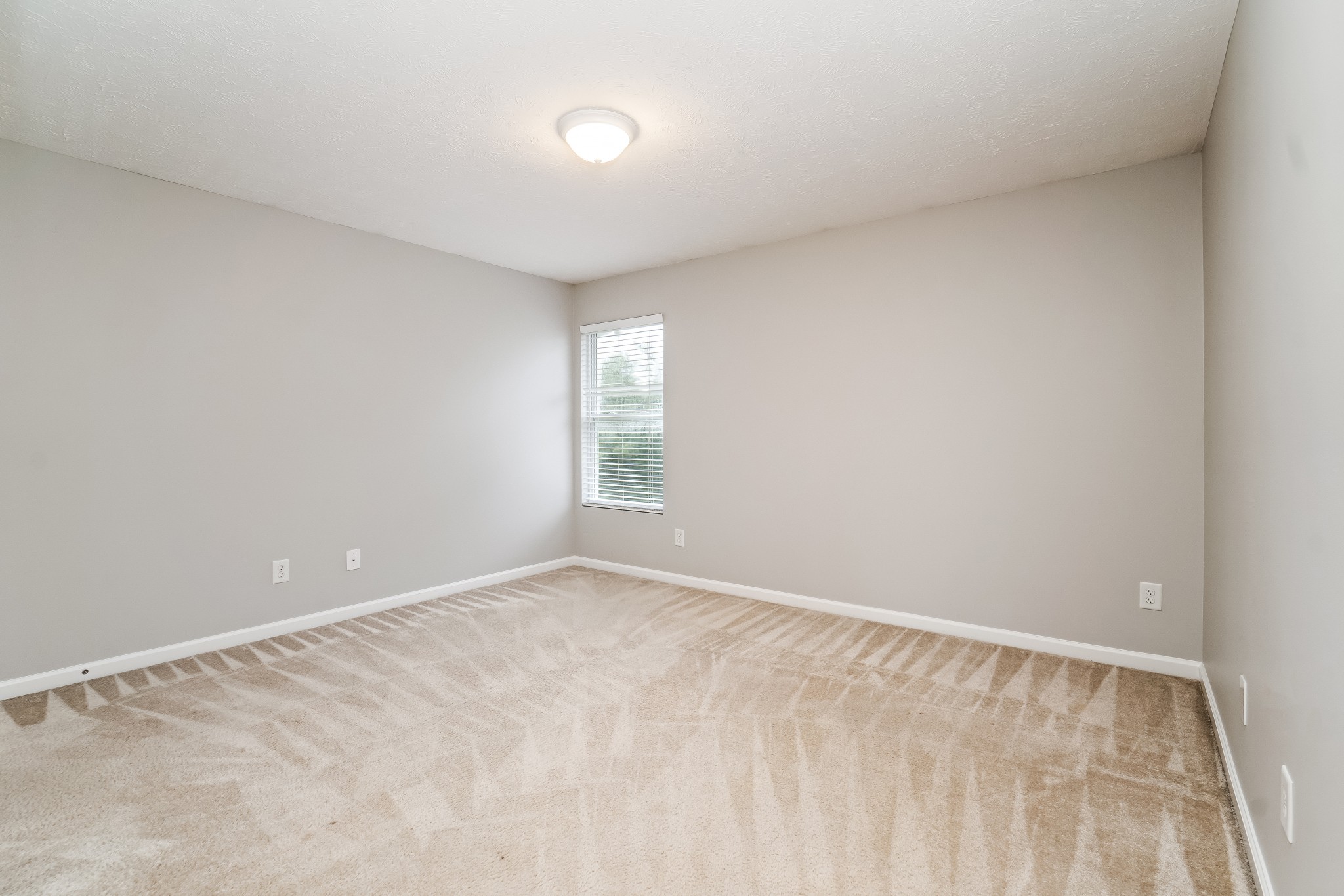 7313 Autumn Crossing Way