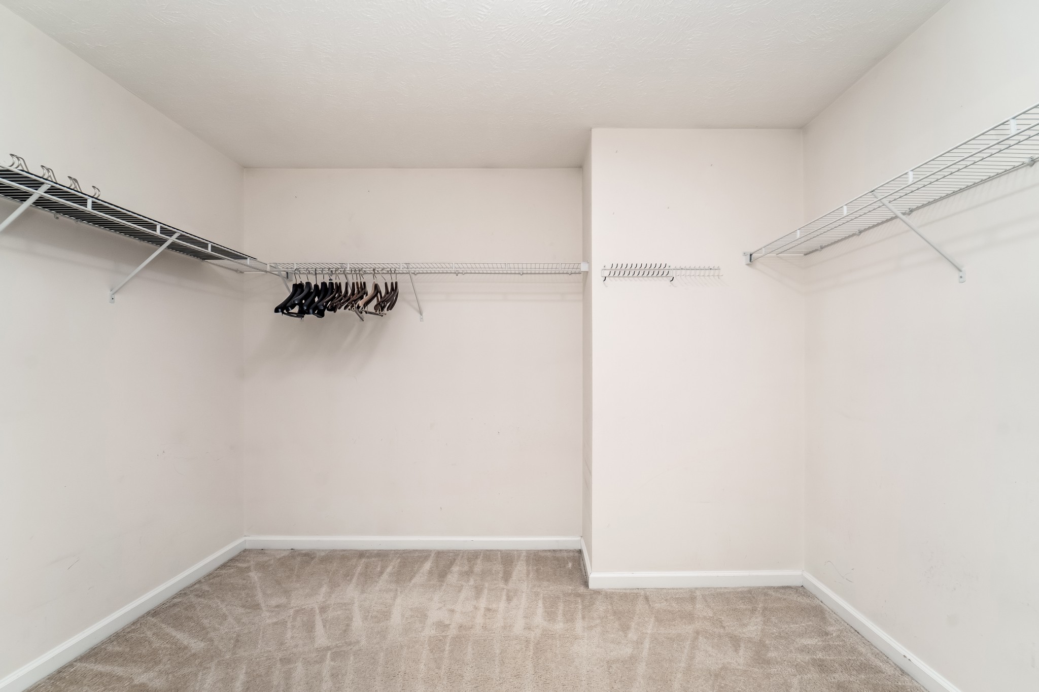 7313 Autumn Crossing Way