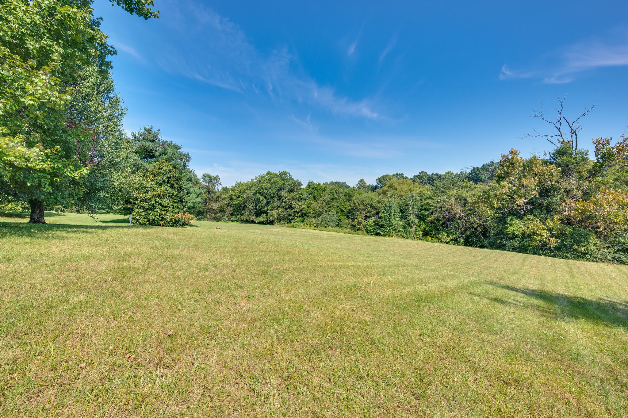 3529 Greystone Dr