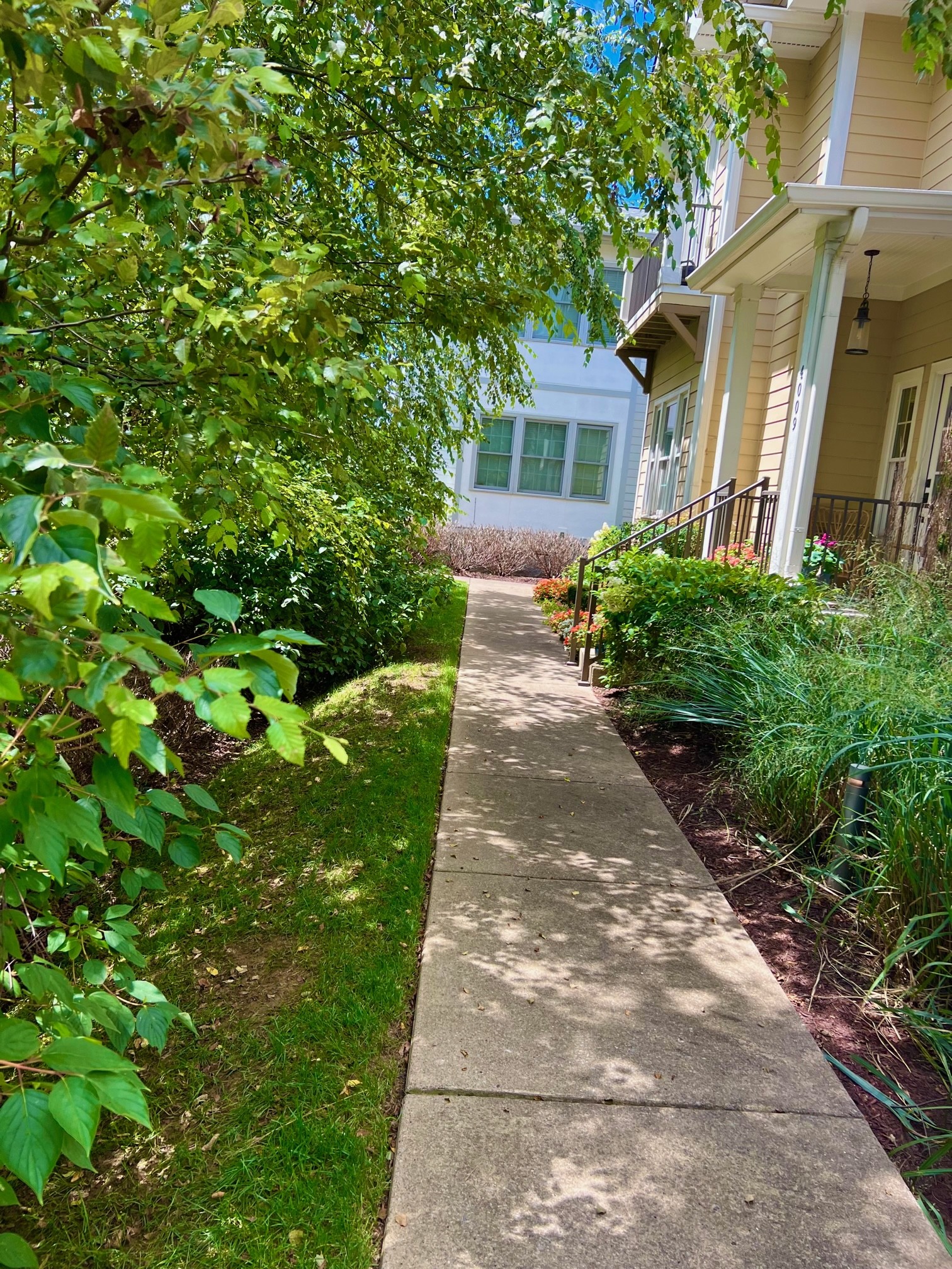 4007 Elkins Aly
