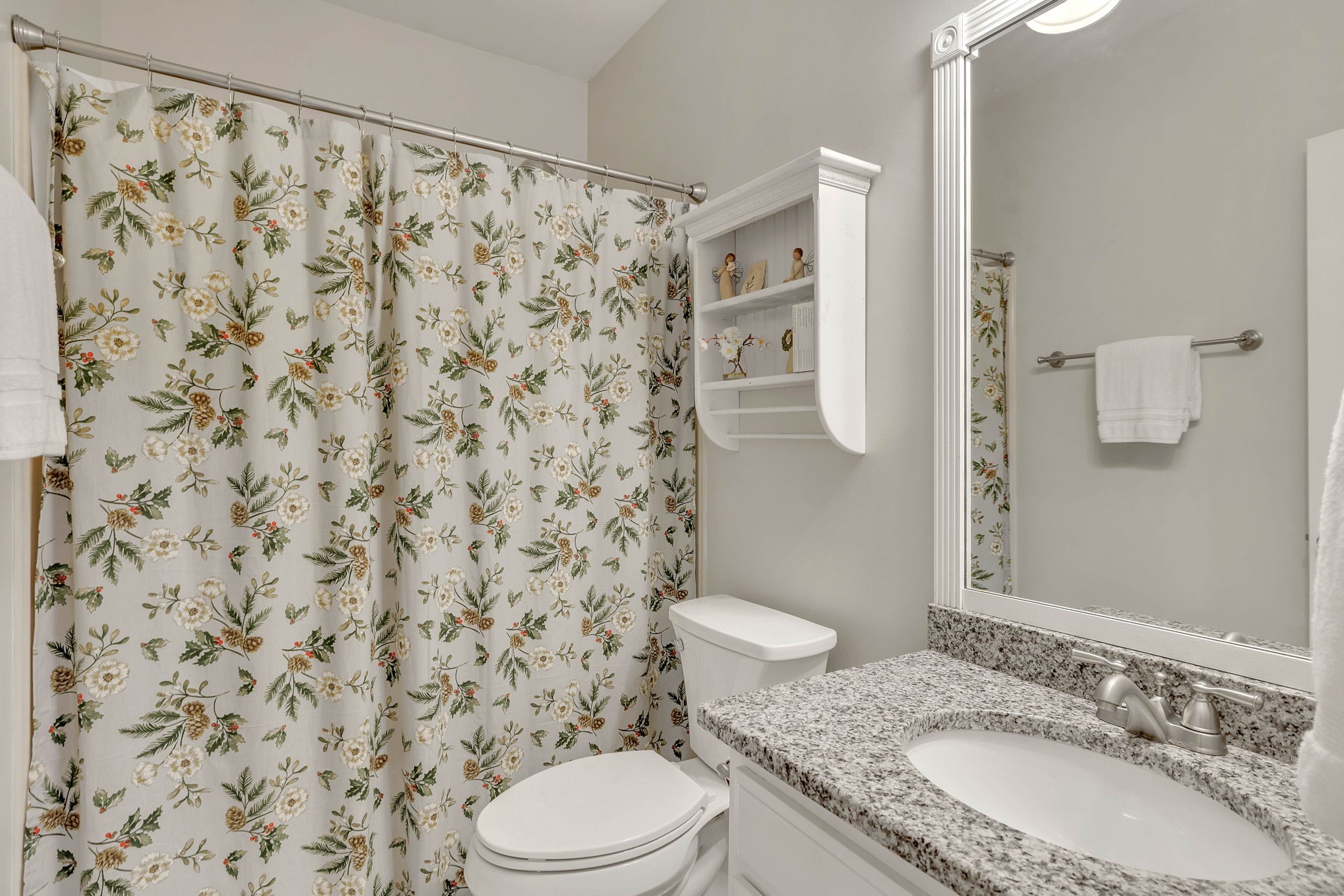 65 Ravenwood Hills Cir