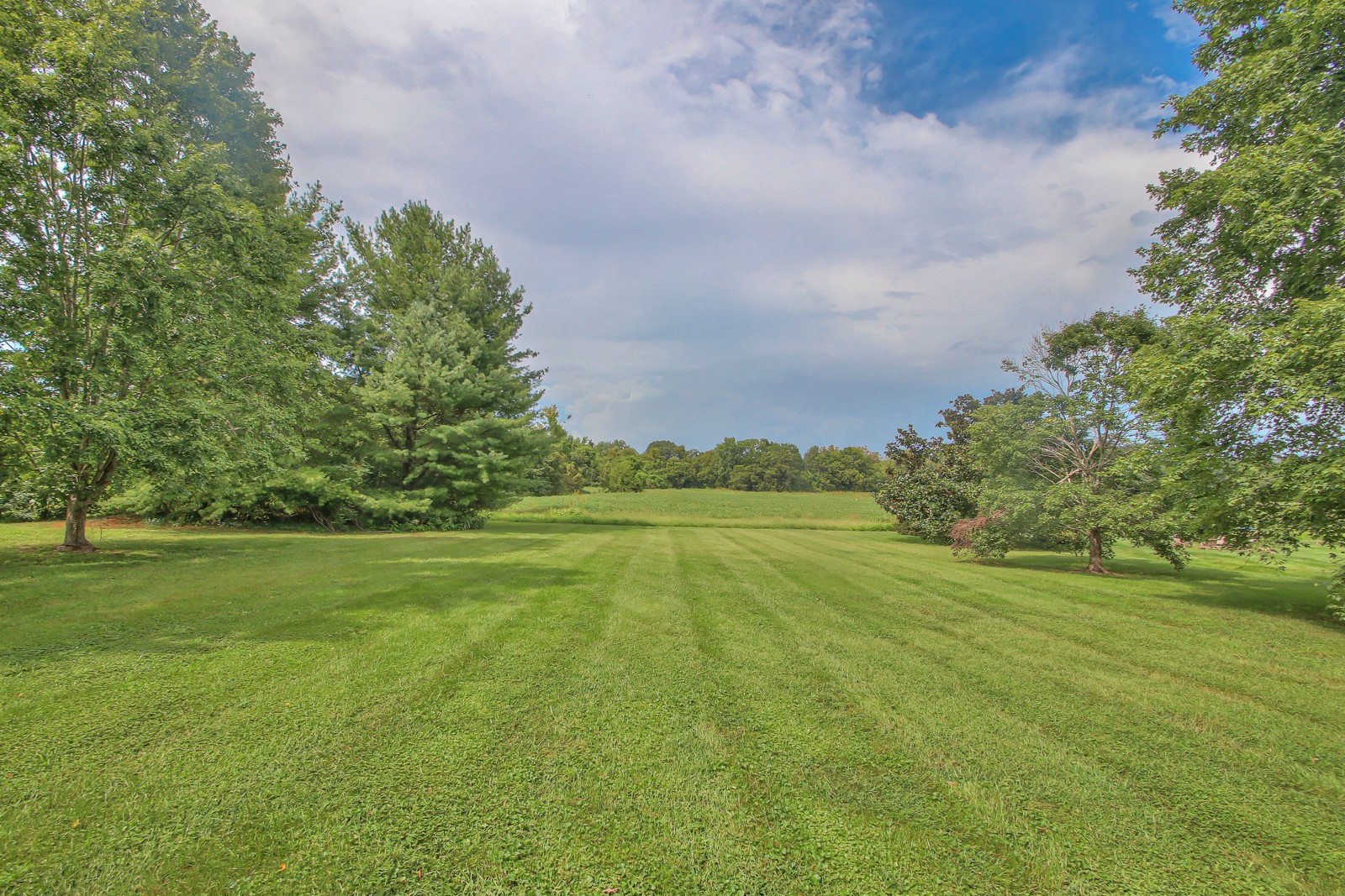 962 Yearling Way