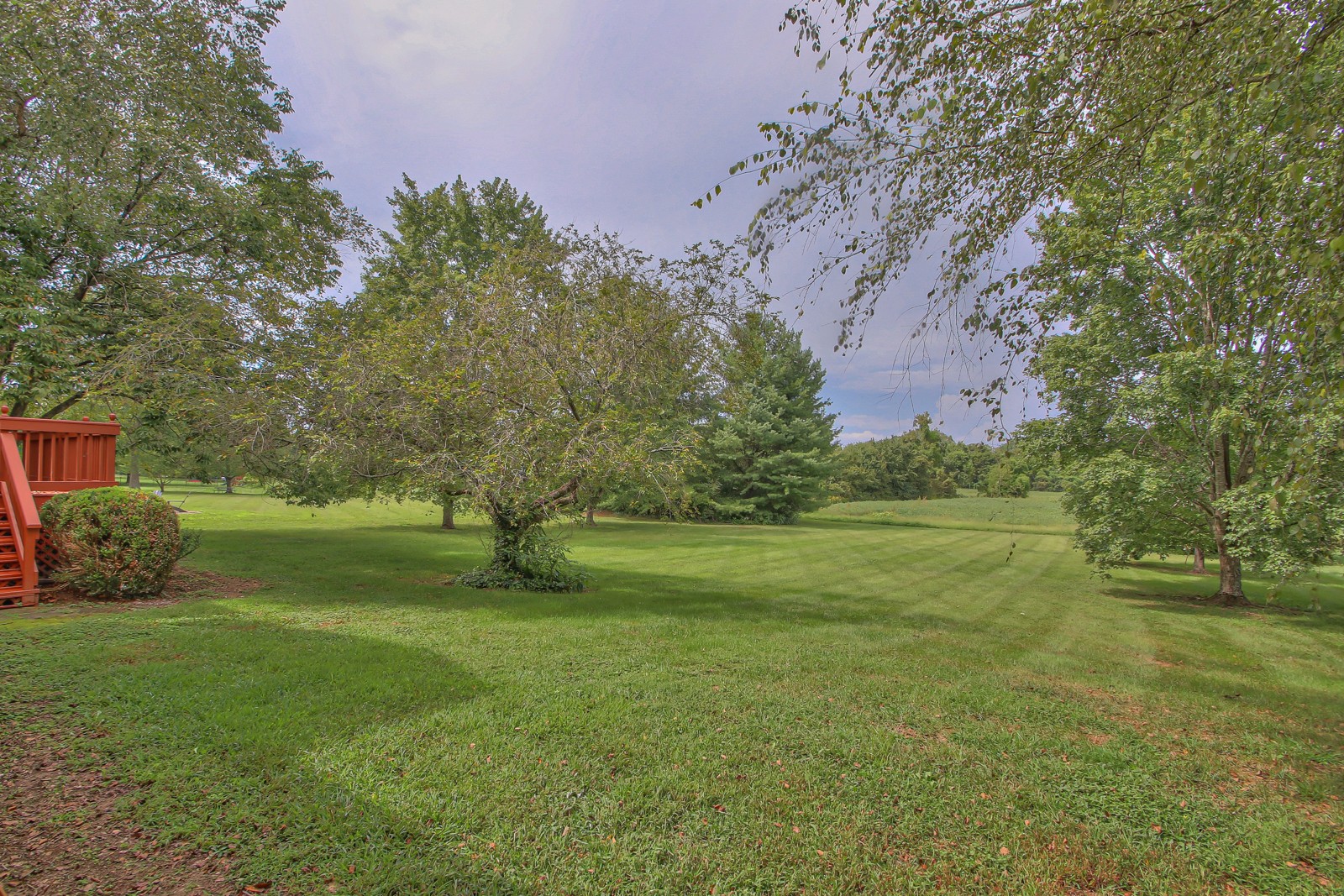 962 Yearling Way
