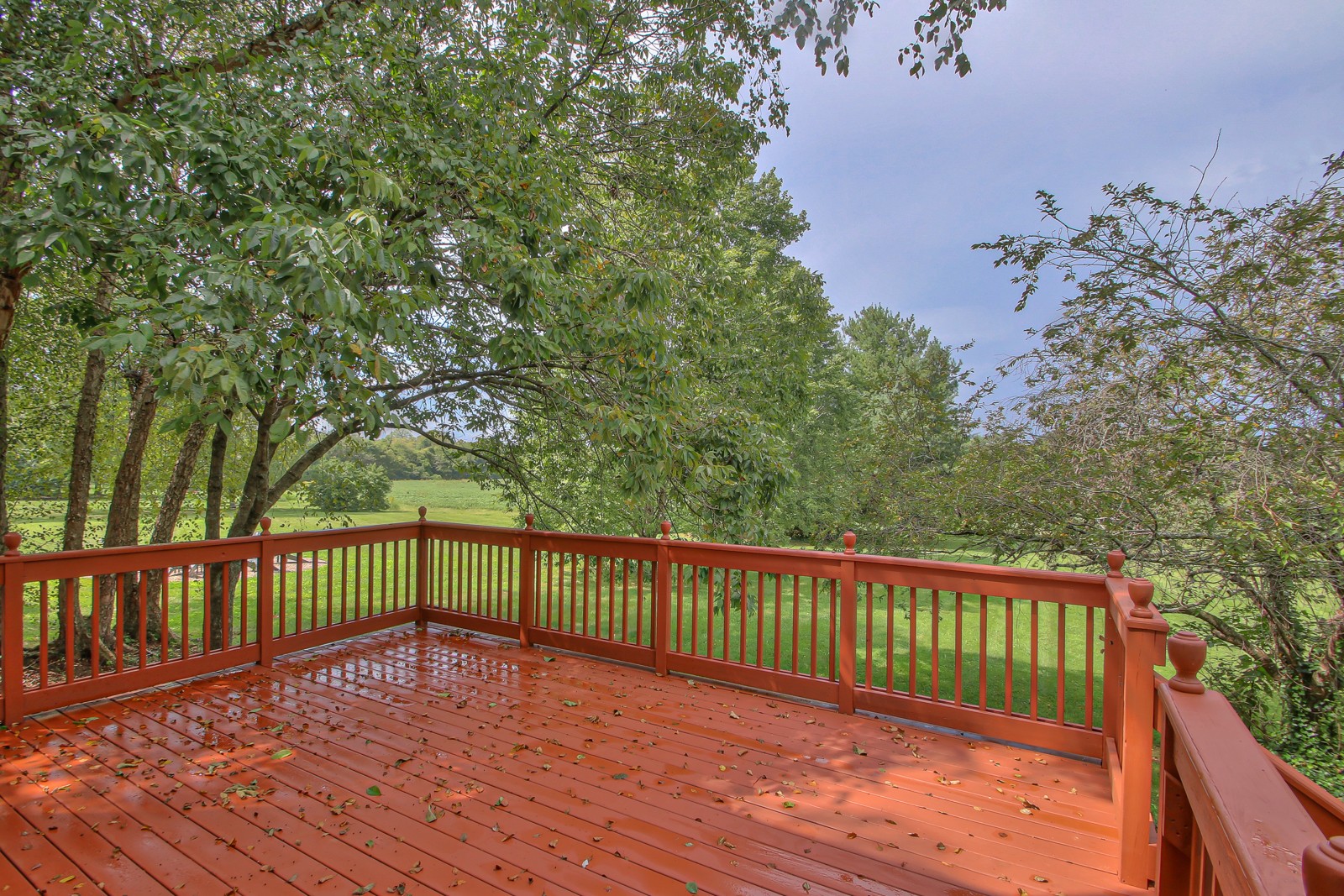 962 Yearling Way