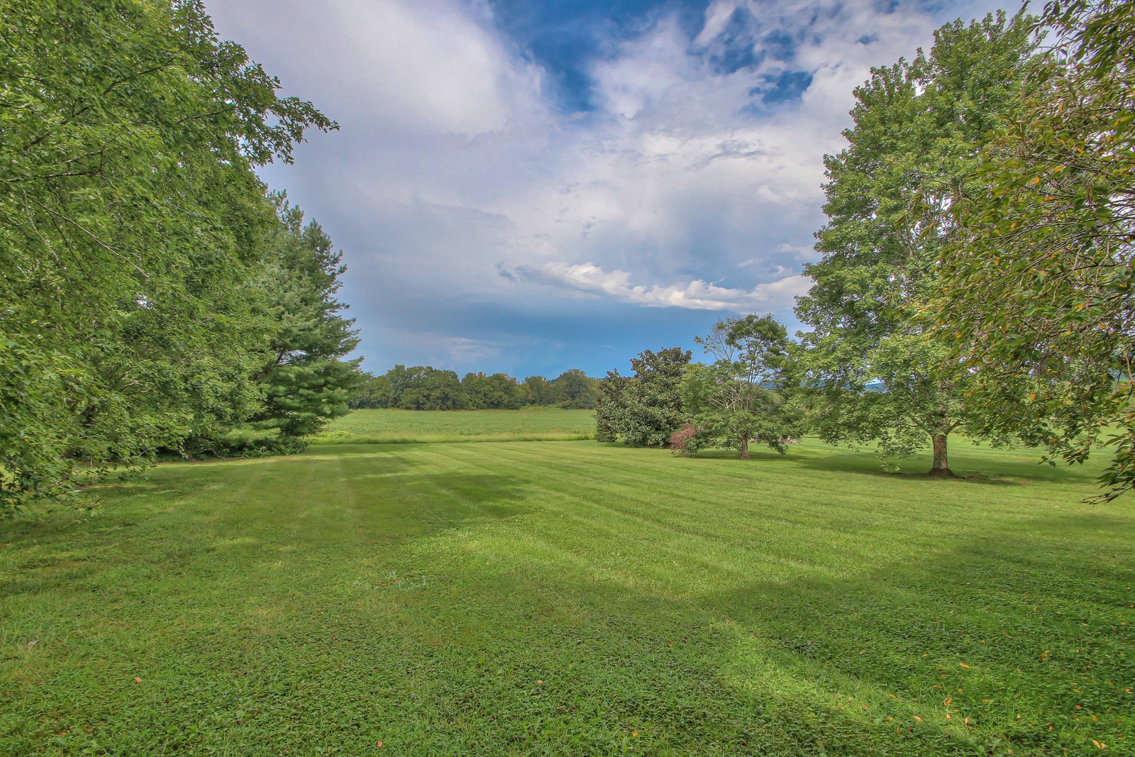 962 Yearling Way
