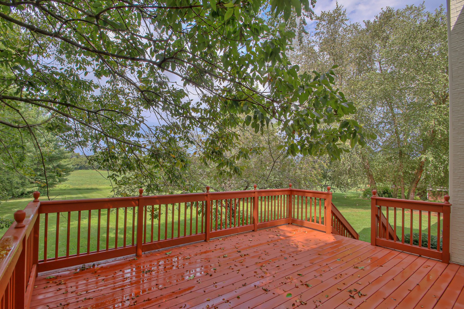 962 Yearling Way