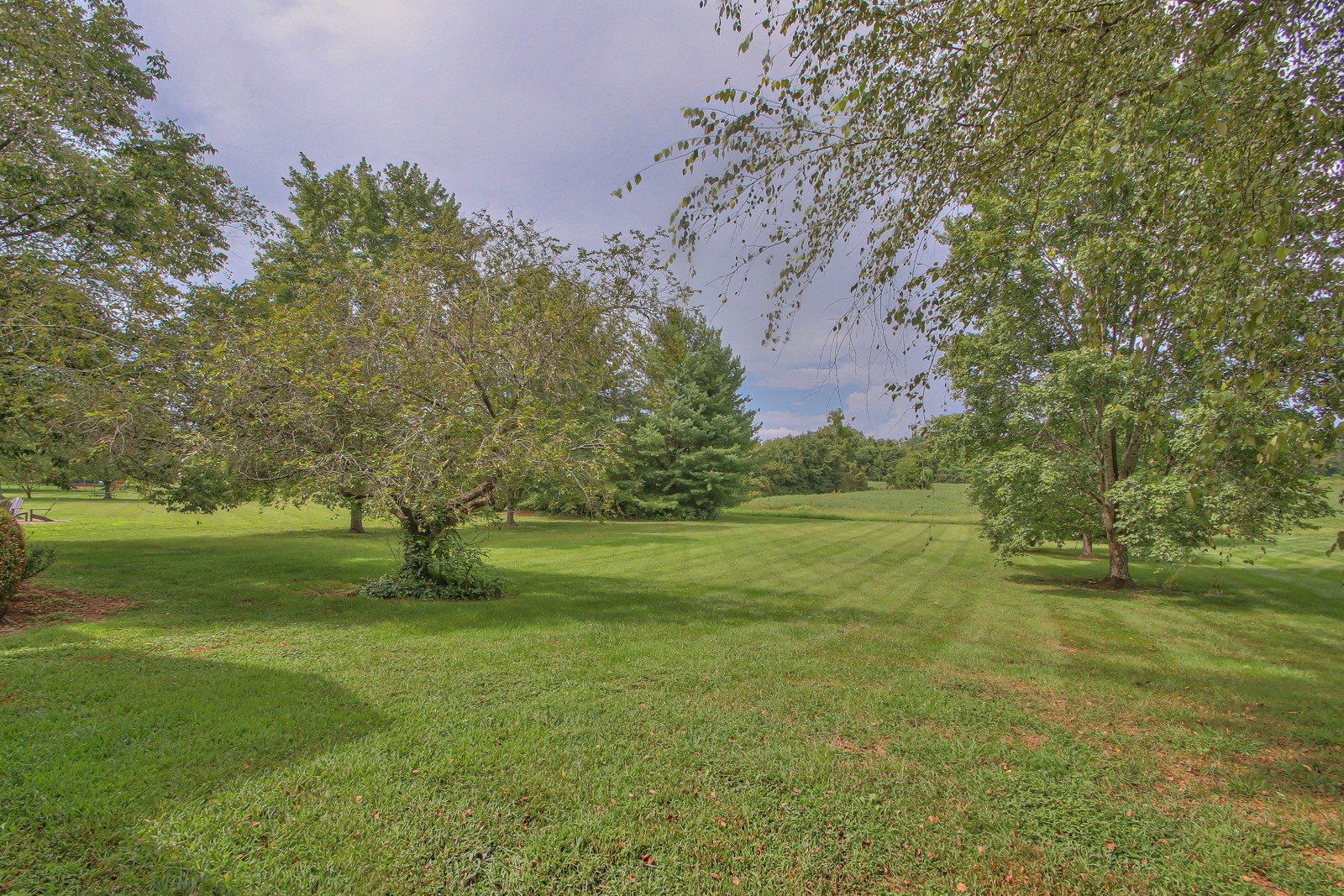 962 Yearling Way