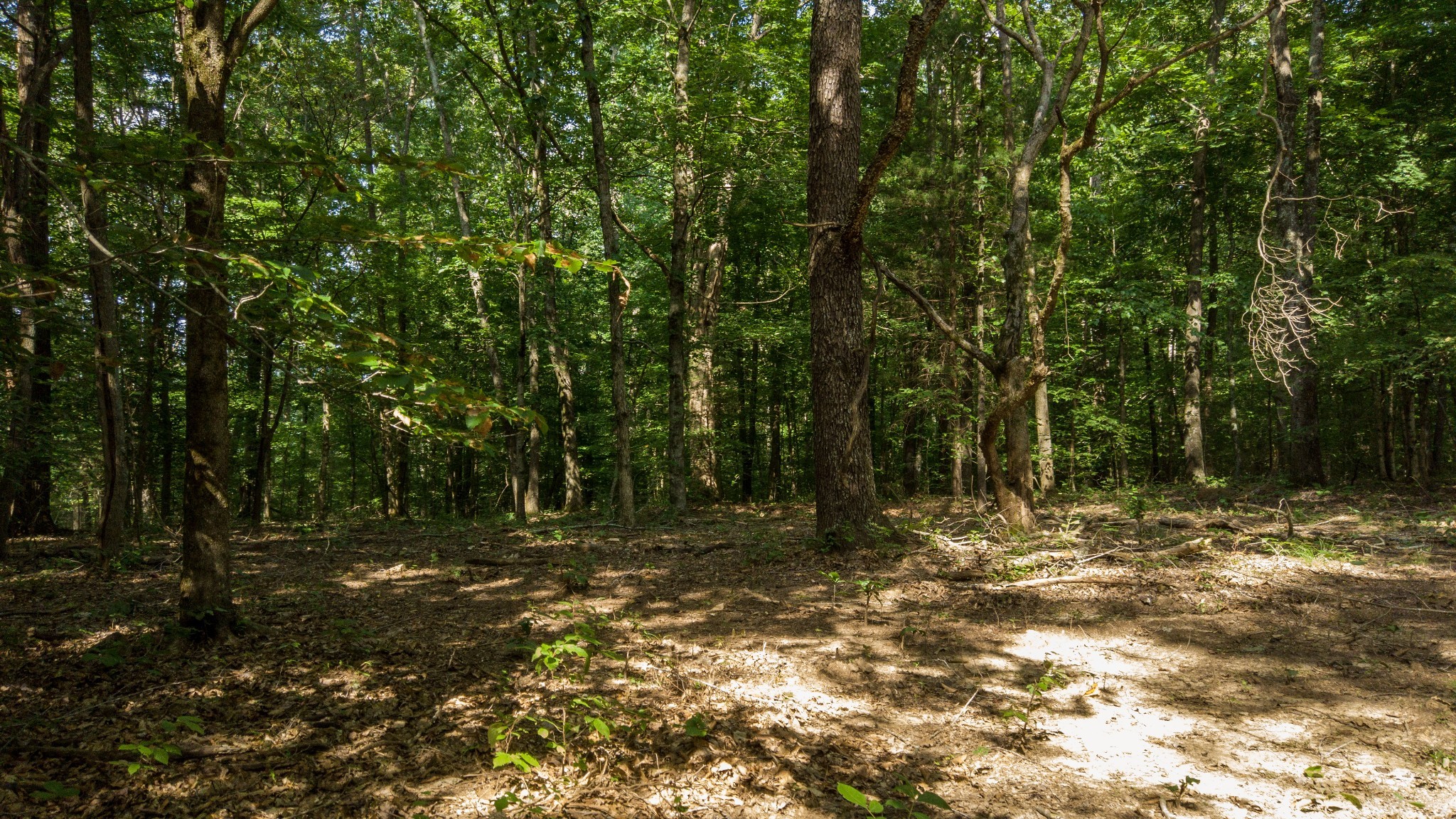 500 Shuler Branch Rd