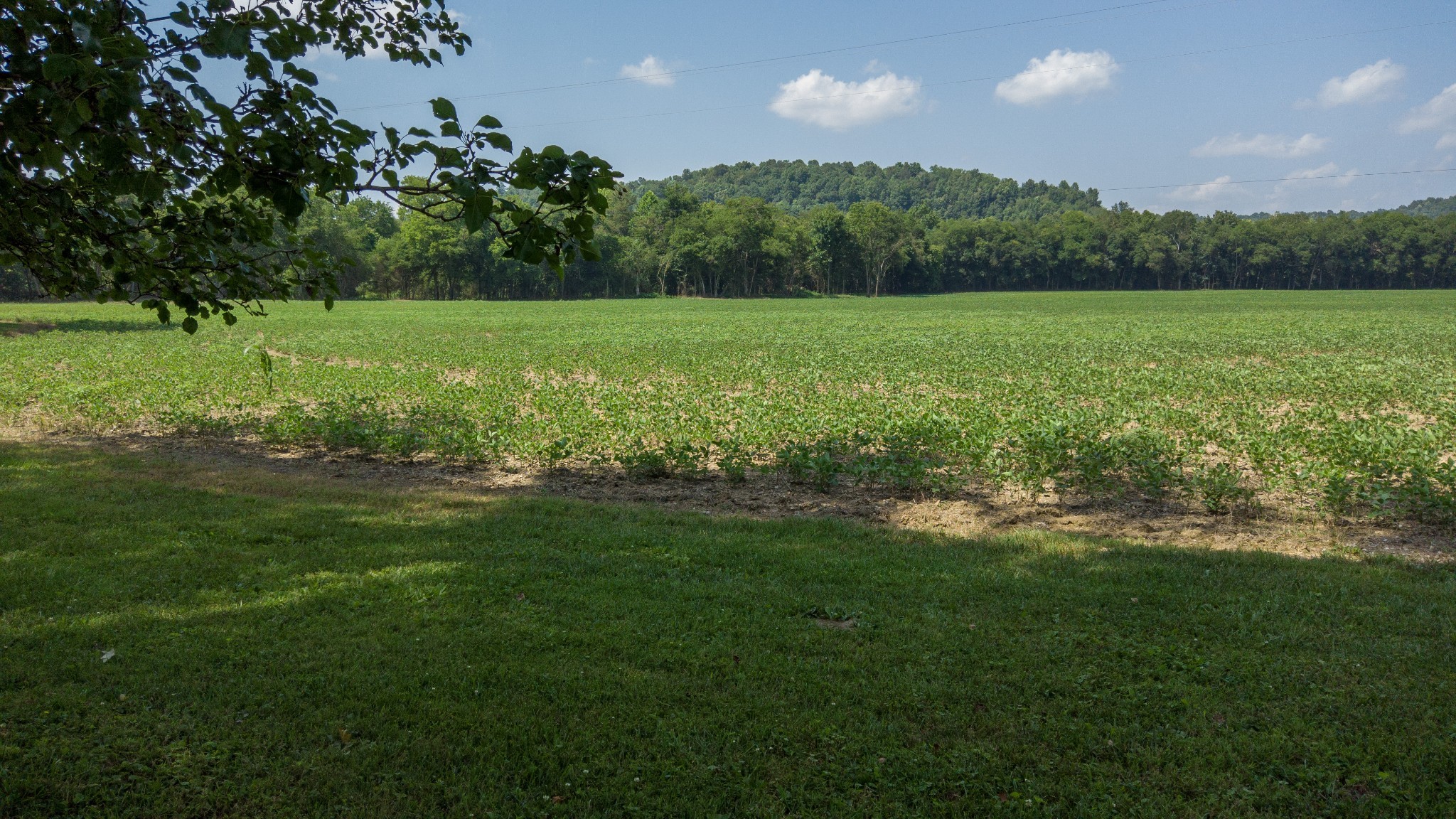 500 Shuler Branch Rd