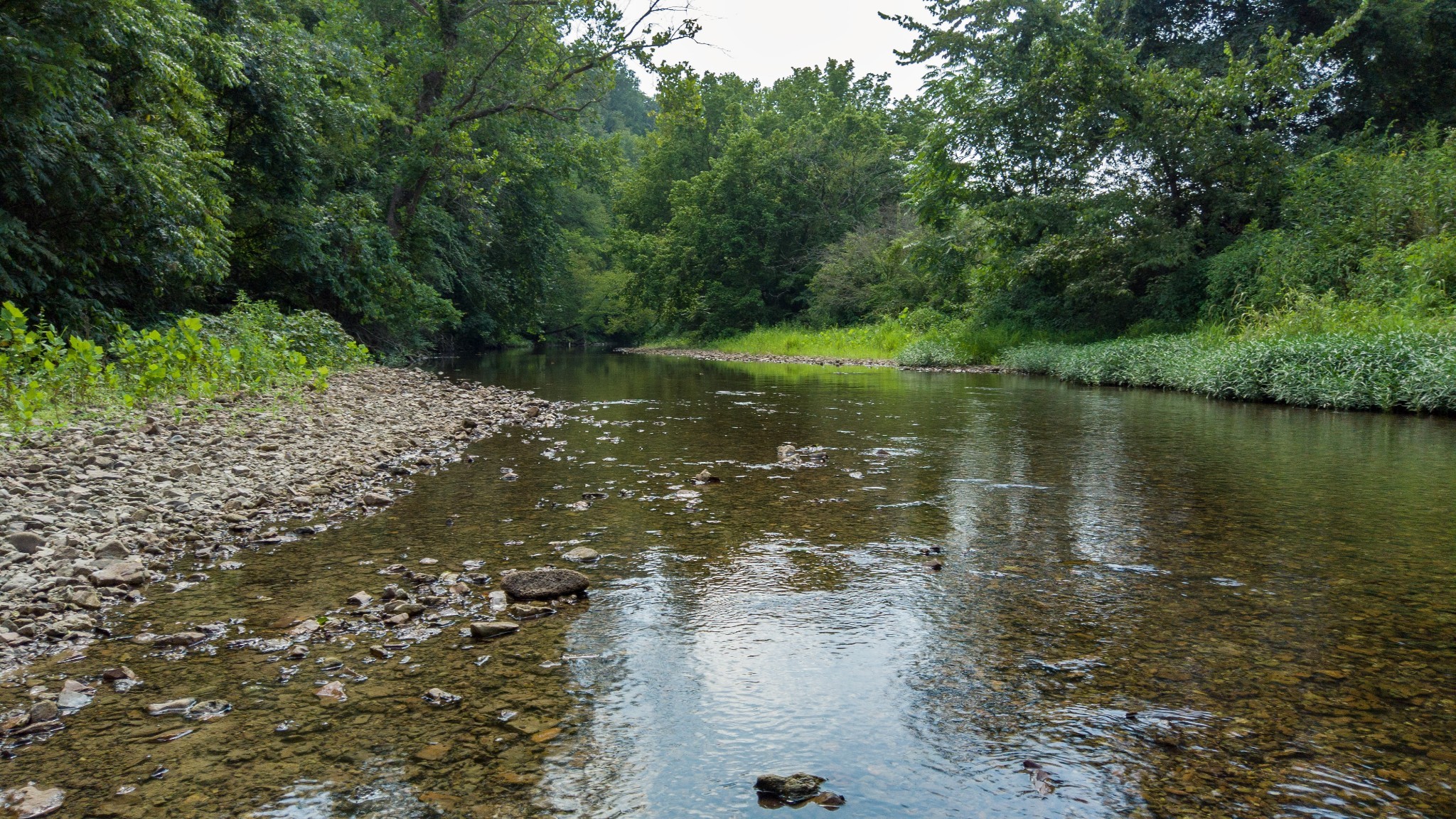 500 Shuler Branch Rd