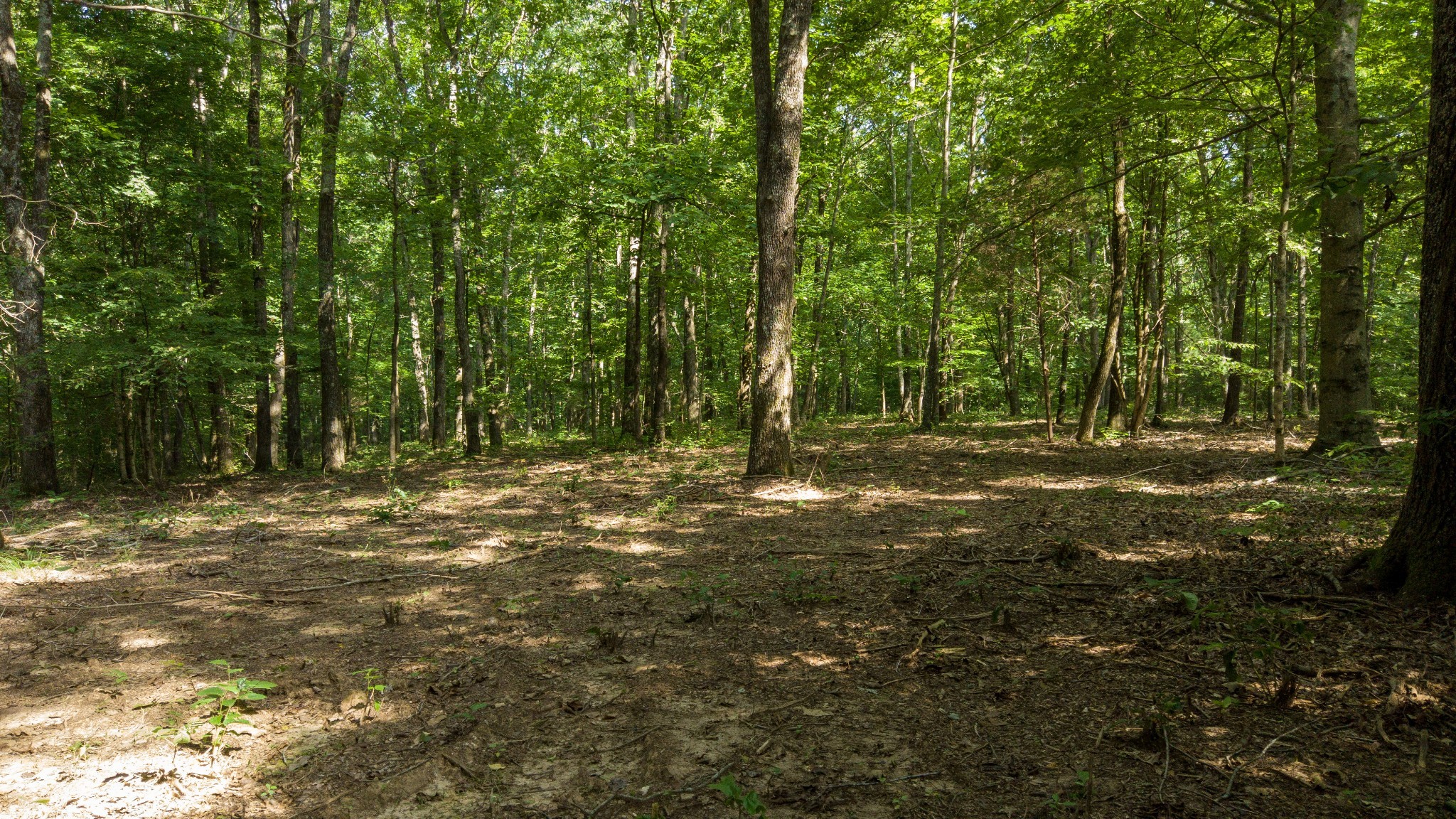500 Shuler Branch Rd