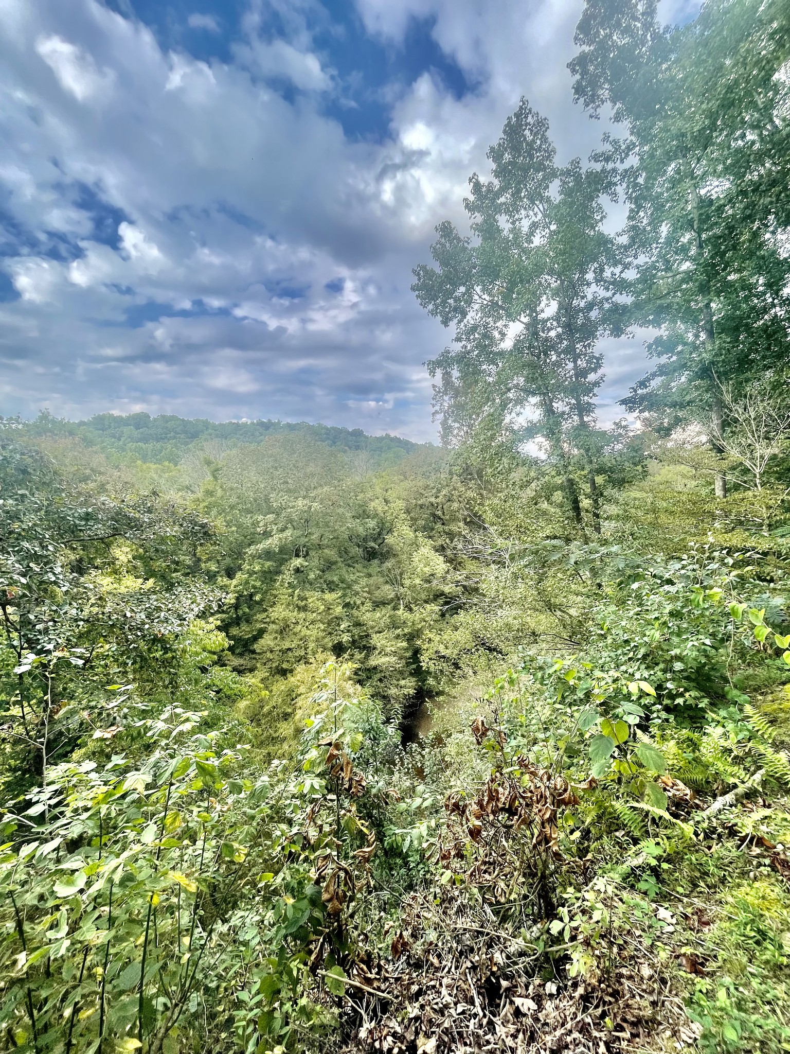 156 River Bluff Dr, W