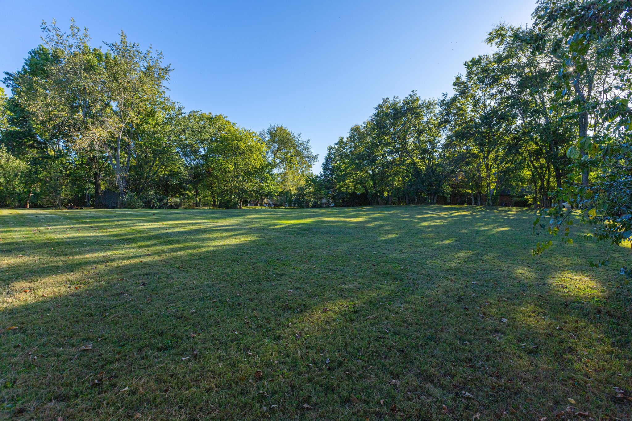 718 Davis Dr