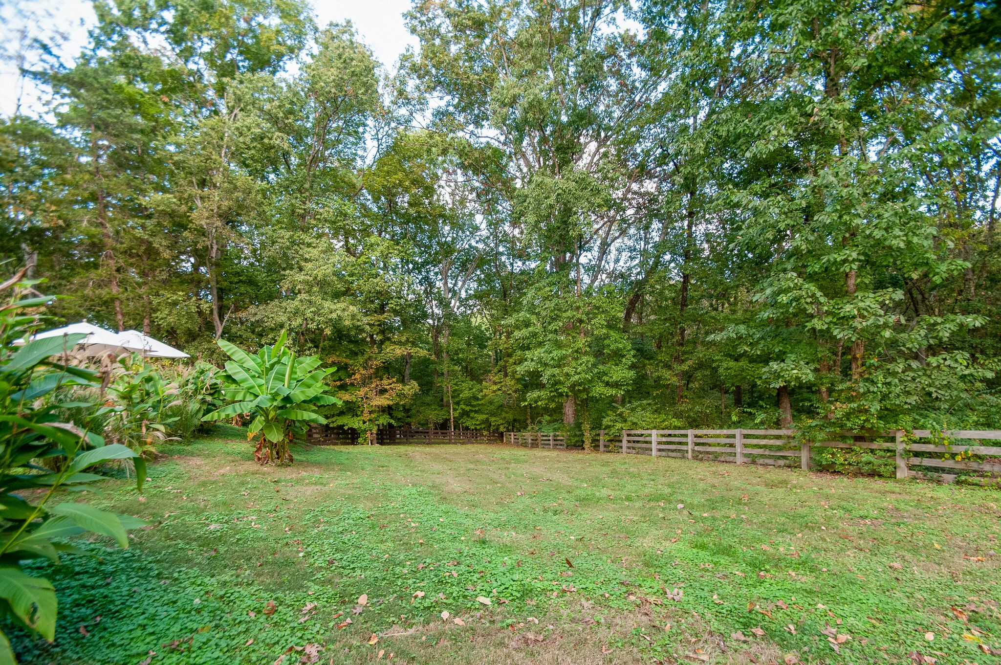 1237 Temple Ridge Dr