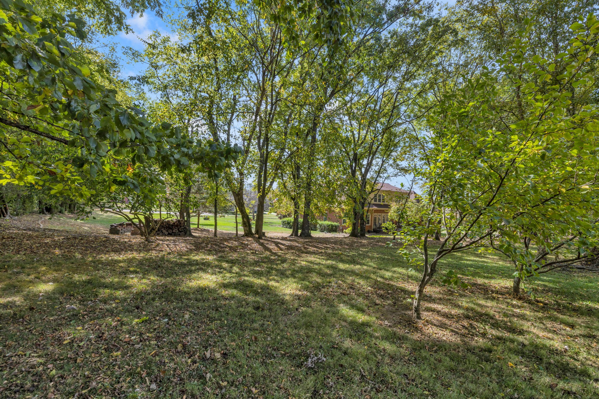 615 Burton Dr
