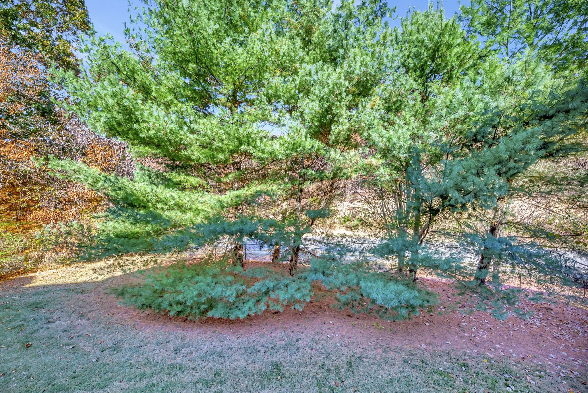 320 Old Hickory Blvd Unit: 2709