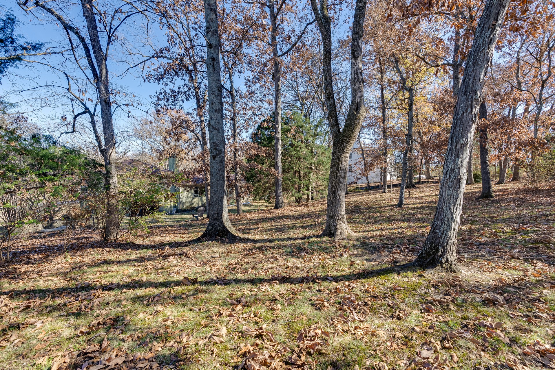 719 Greeley Dr