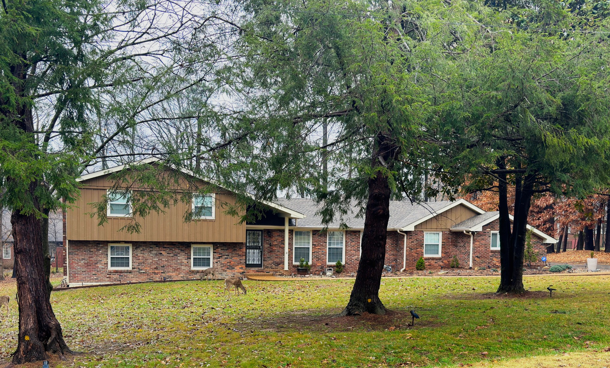 303 Raintree Dr